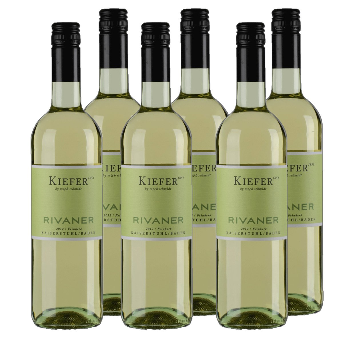 Eichstetter Rivaner Classic feinherb Baden Württemberg Weißwein 2020 halbtrocken (6x 0.75 l)