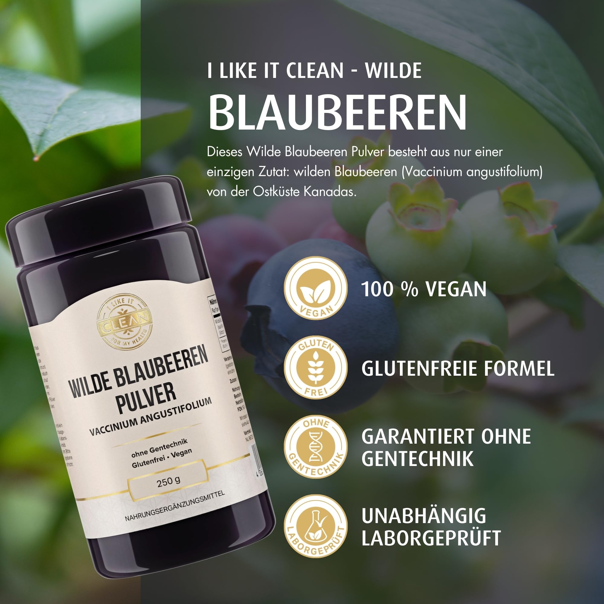 I-like-it-Clean® - Wilde Blaubeeren Pulver (Vaccinium angustifolium) - 250gr - aus unbeührten Wäldern der Ostküste Kanadas - vegan, ohne Hilfststoffe - in Deutschland abgefüllt
