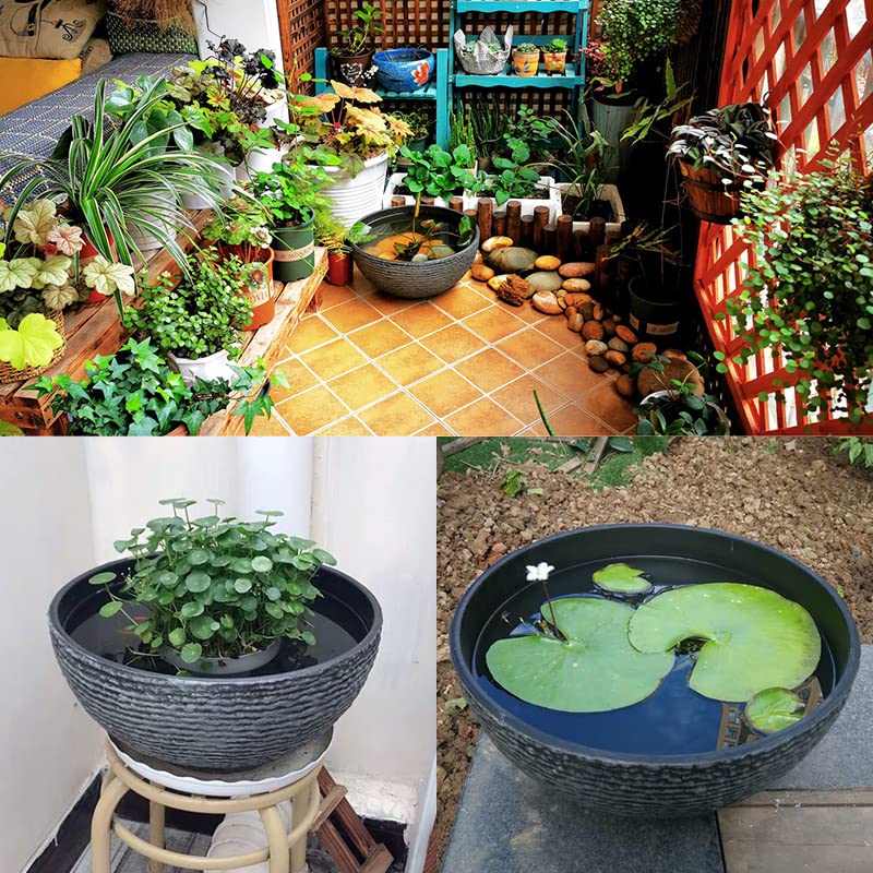 大特価‼️ 最終値下げ‼️ 睡蓮鉢‼️ Amazon | 睡蓮鉢 睡蓮の鉢 睡蓮鉢+大型 睡蓮鉢プラスチック 睡蓮