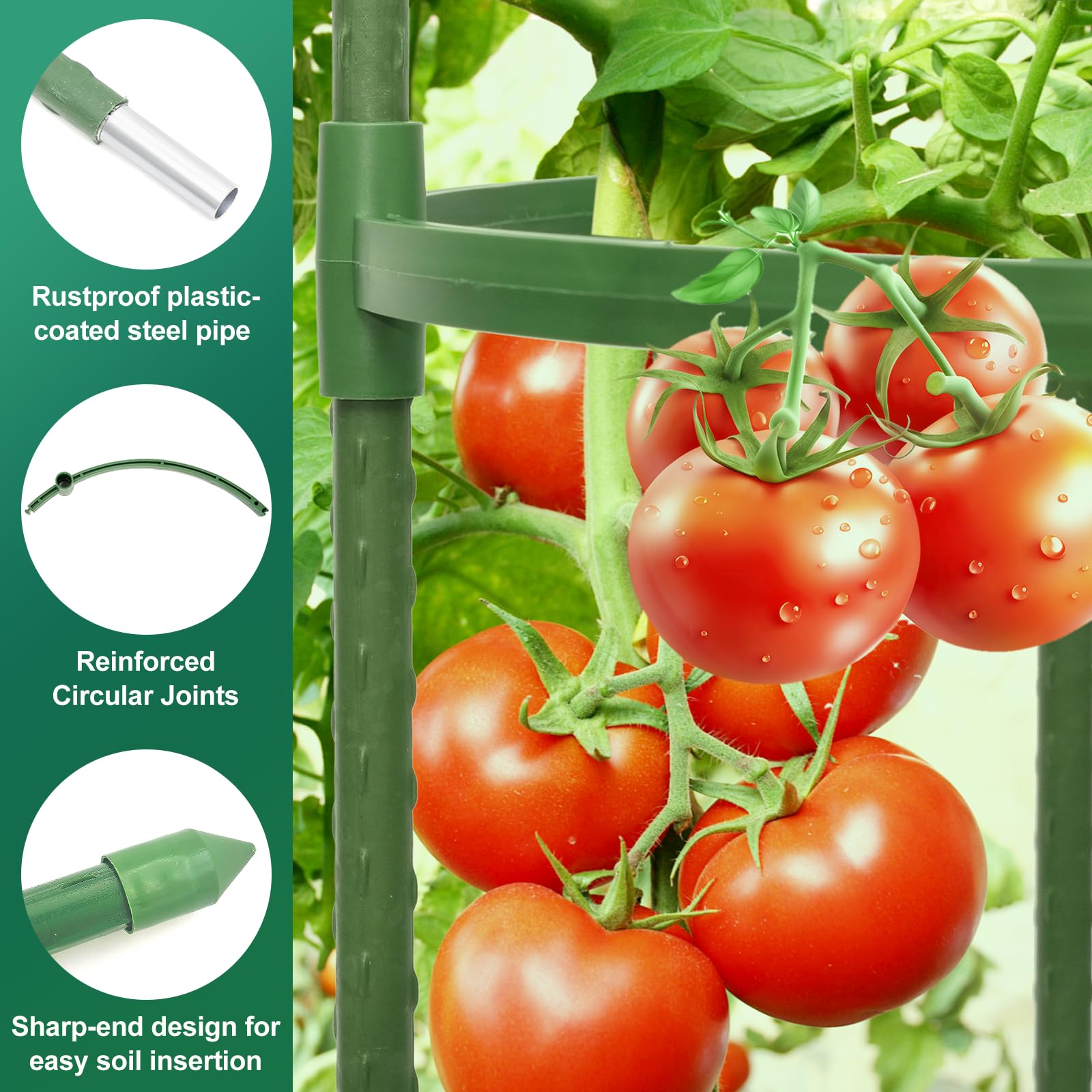 Jaulas de tomate para jardín, 50 pulgadas de alto, estacas de acero resistente, enrejado de pepino actualizado, para plantas trepadoras, vegetales y flores (redonda, 6)