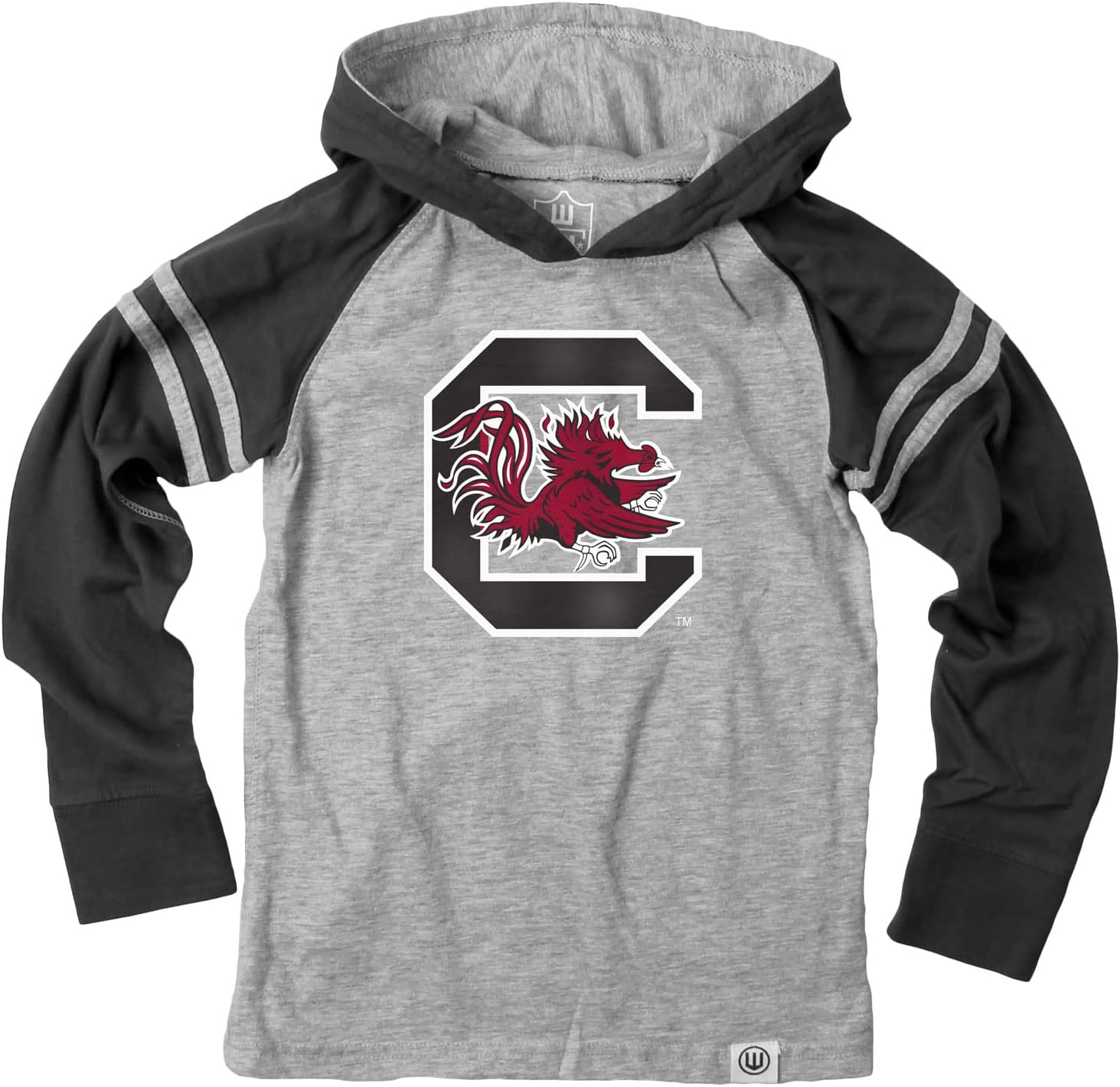 Wes and Willy Youth Boys College Long Sleeve Hooded T-Shirt Striped Jersey Hoodie