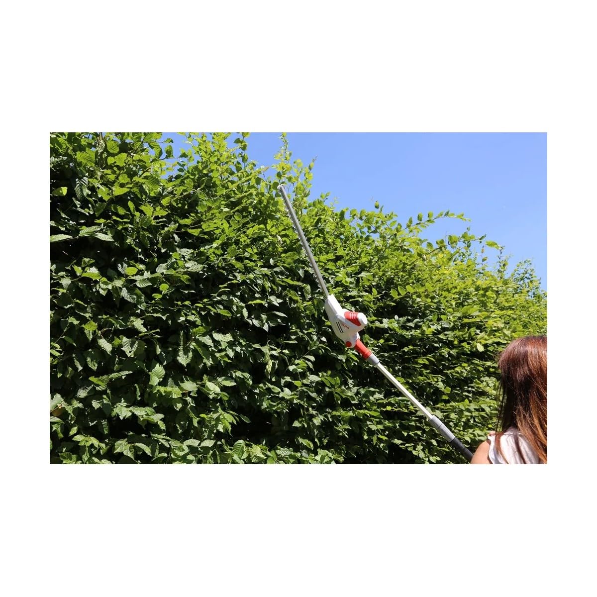 Tamaño seto telescópico con cable, 600 W, hoja de corte 59 cm, corte 51 cm, tamaño seto sobre palo ajustable, 1,95 – 2,40 m IKRA