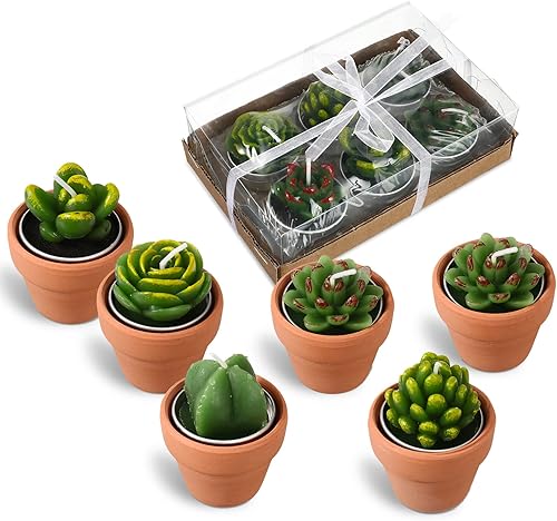 Treela 6 velas decorativas de cactus para suculentas, velas de té hechas a mano, decoración de baby shower, planta elegante con mini soportes de