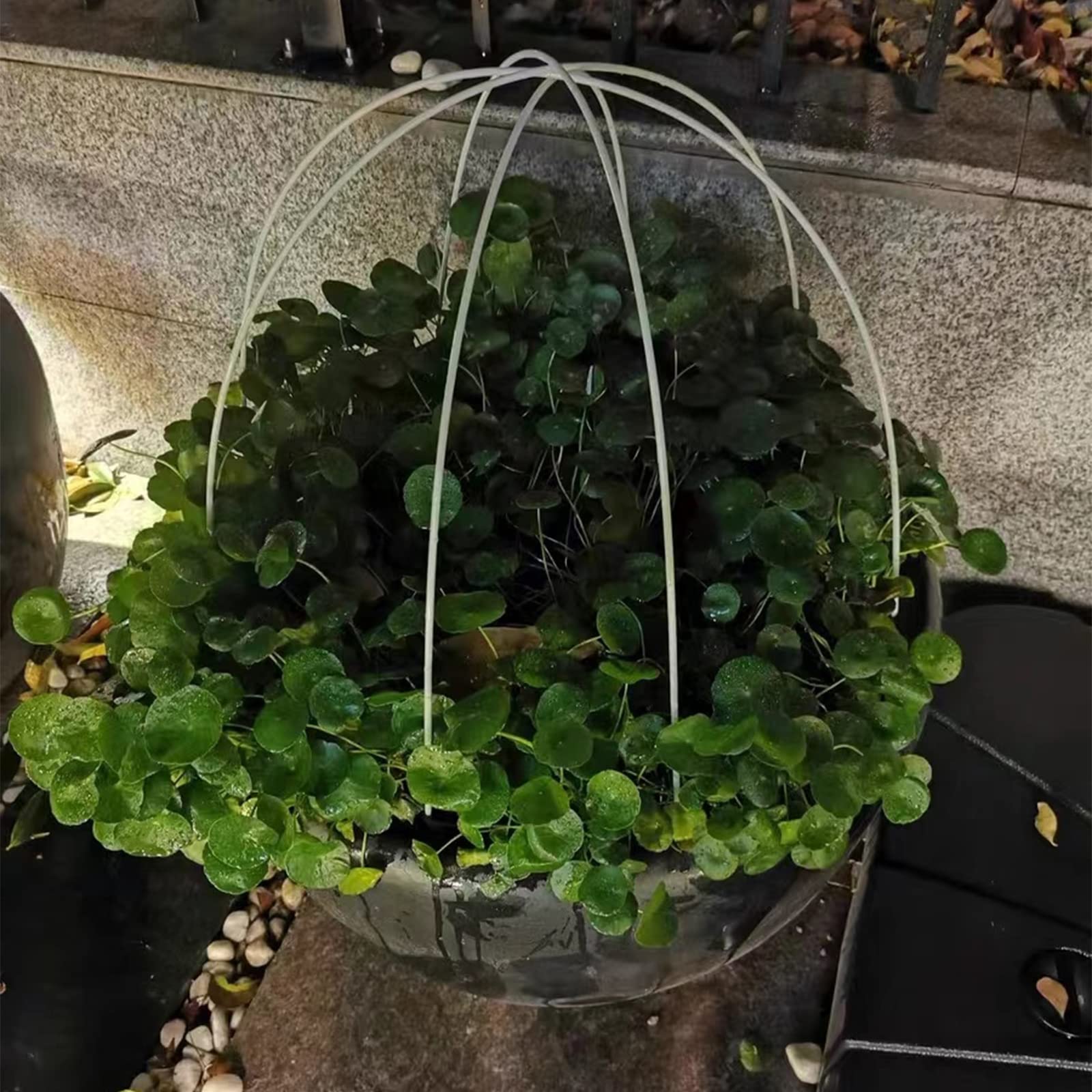 Aros De Invernadero, Túnel De Cultivo túnel de Crecimiento para Plantas Marco De Invernadero para Jardín, Granja, Patios(6mmX3m(9.8ft),10pcs)