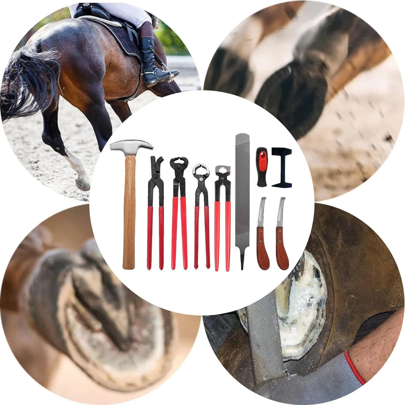Kit di Attrezzi per maniscalco da 9 Pezzi, Pinza per Zoccoli, Trimmer per Ferro di Cavallo, Kit di Strumenti per la Cura dello Zoccolo per bovini, Pecore, Cavalli, Asini