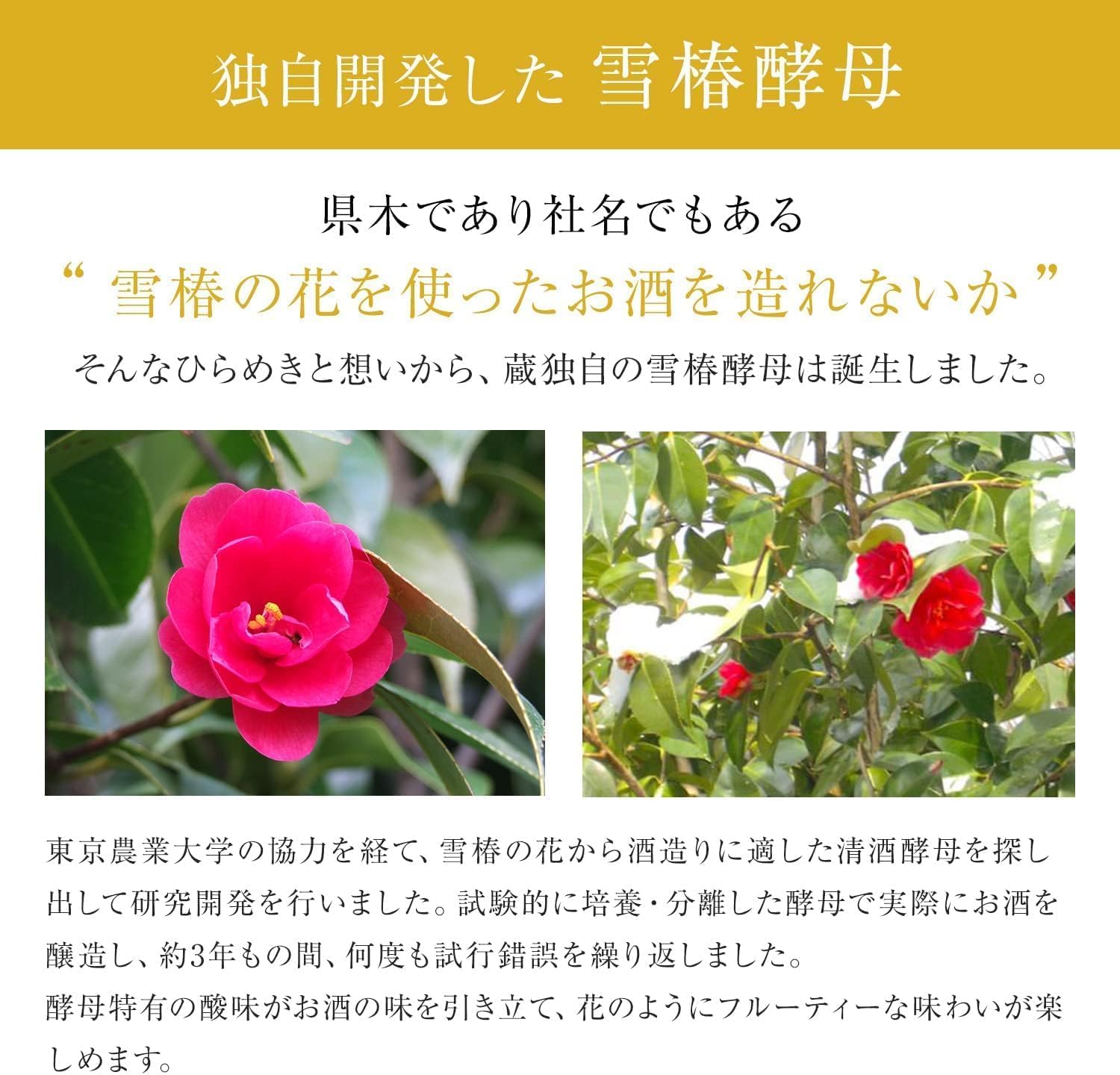 Amazon.co.jp: Flag48雪椿酵母×山田錦 純米大吟醸原酒 720ml(新潟 地酒