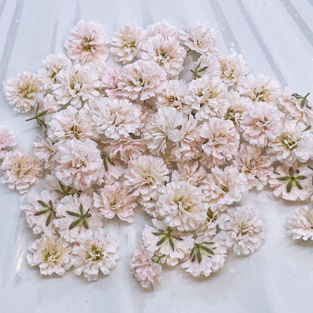 透花様 リクエスト 5点 まとめ商品 花様 リクエスト 5点 まとめ商品 花