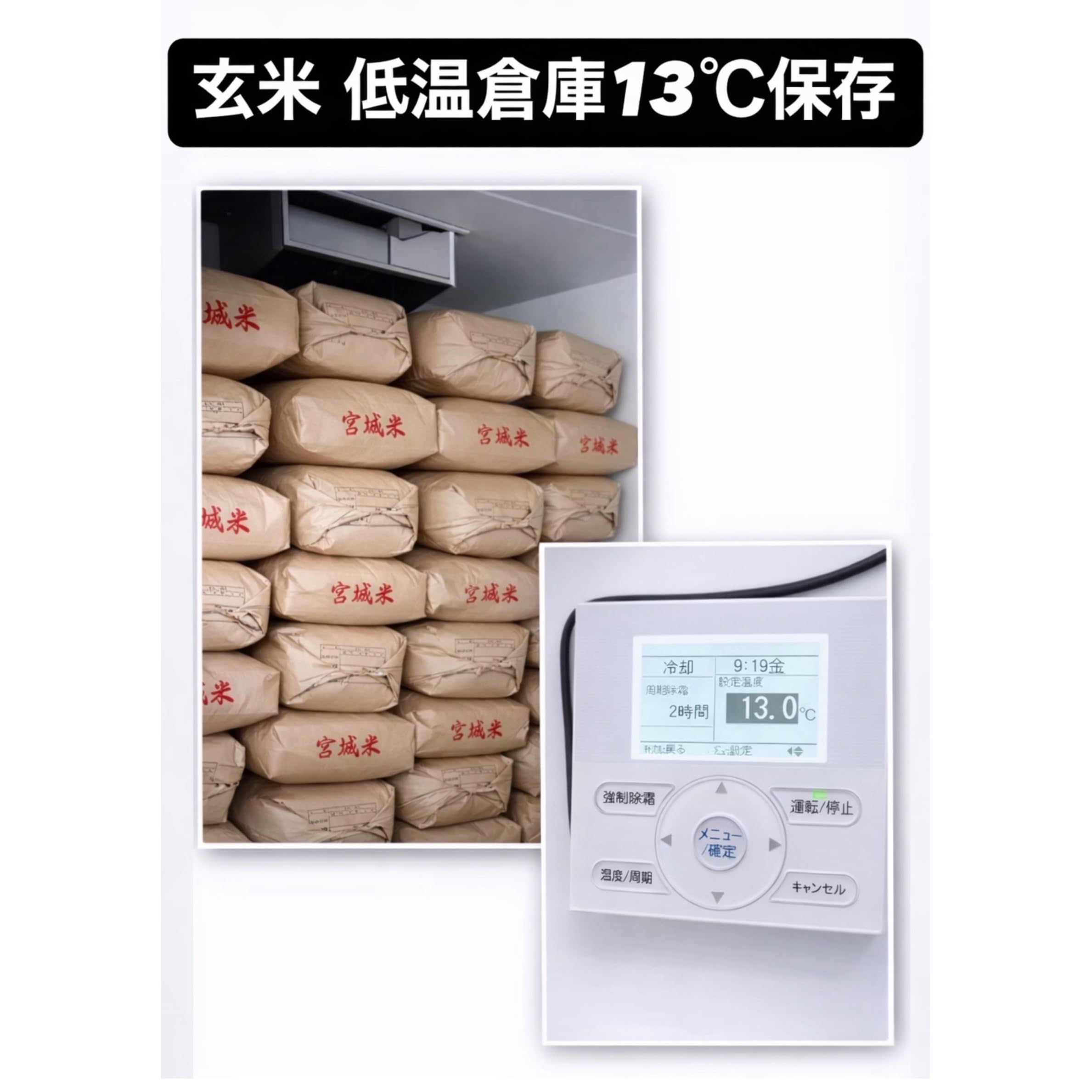 Amazon.co.jp: 令和7年 宮城県 登米市産 ひとめぼれ玄米 一等米 (20kg