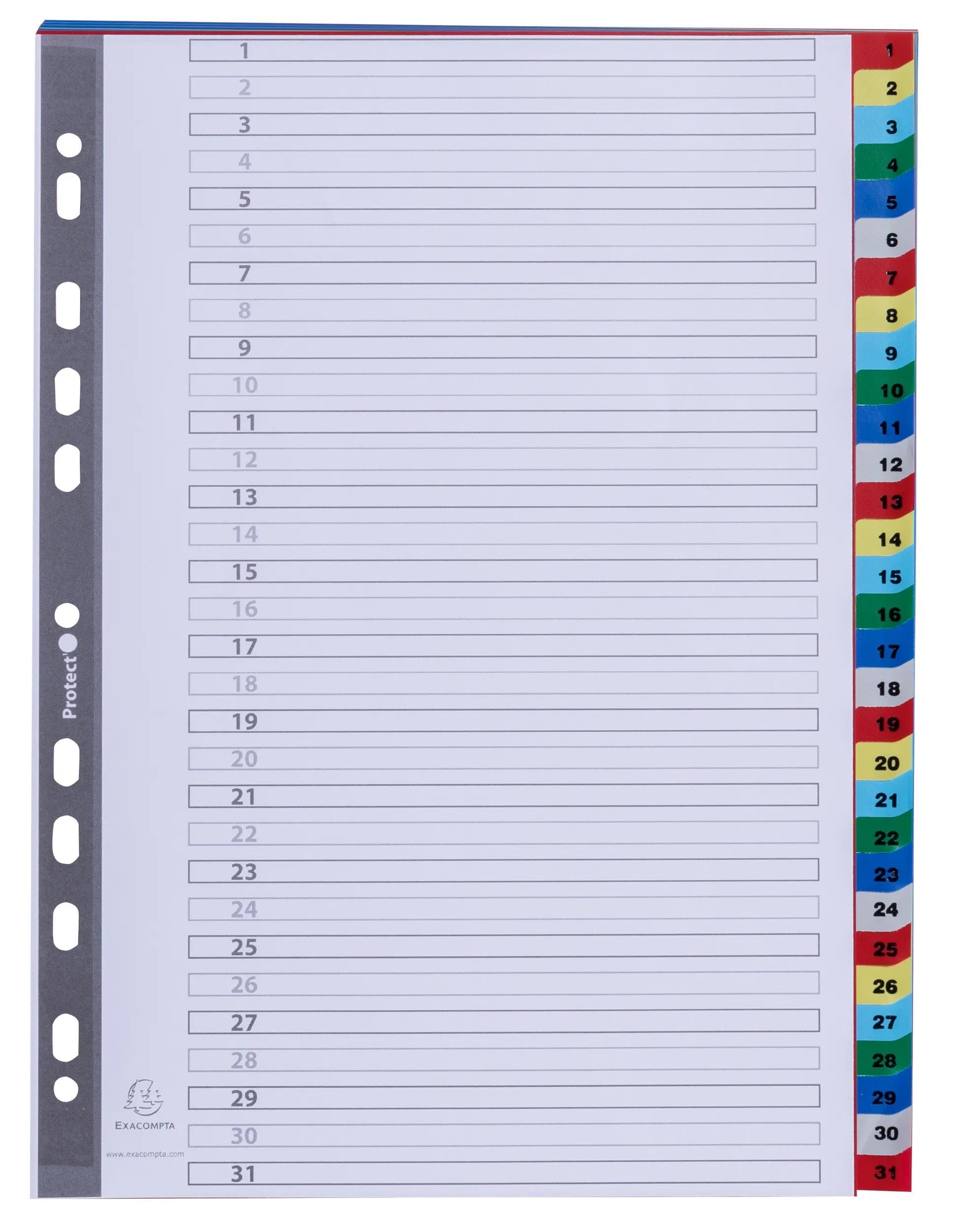Exacompta - Art.-Nr. 93E – Karton mit 20 Registern aus Polypropylen mit 31 digital bedruckten Registern von 1 bis 31 in Farbe – Indexierseite – Format A4 – 22,5 x 29,7 cm