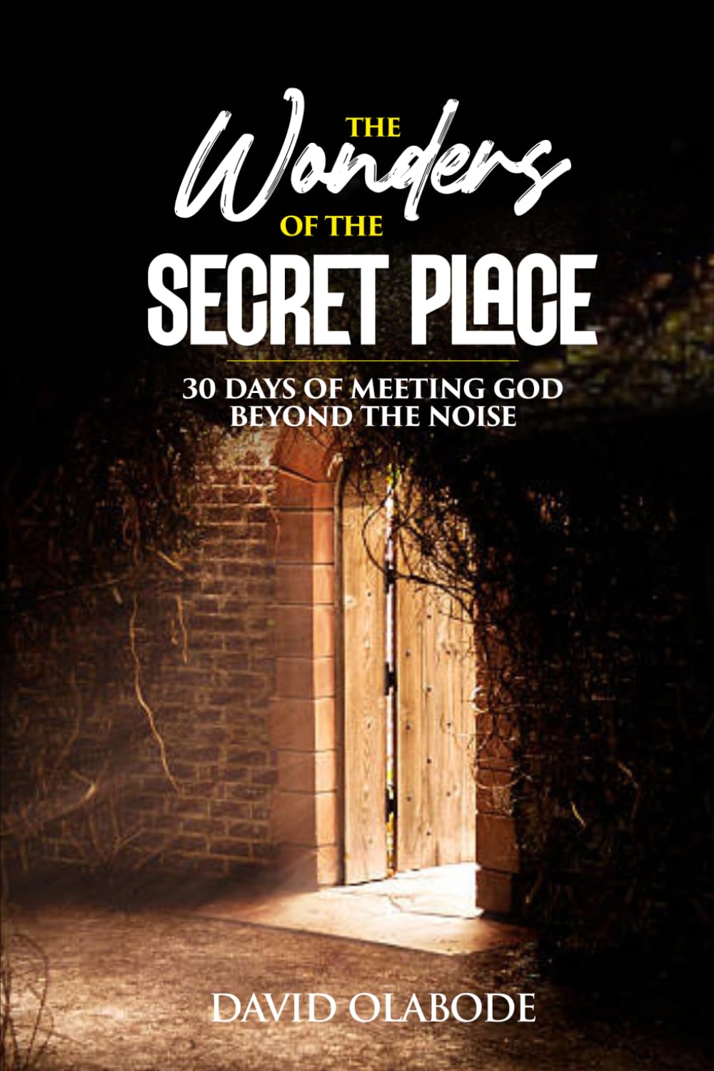 THE WONDERS OF THE SECRET PLACE: 30 Days of meeting God beyond the noise