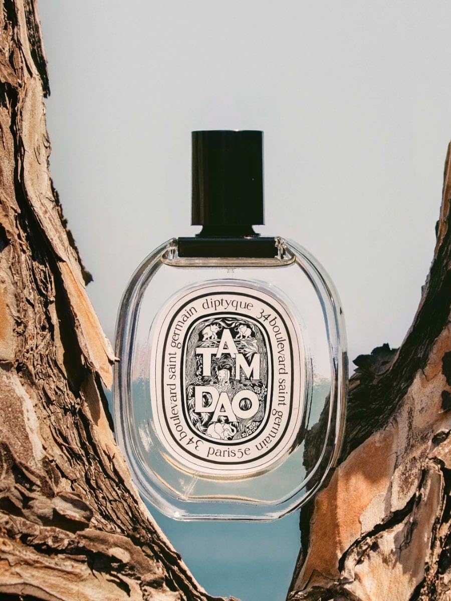 Diptyque Tam Dao EDT Spray Unisex -3.4 oz : Amazon.ca: Beauty