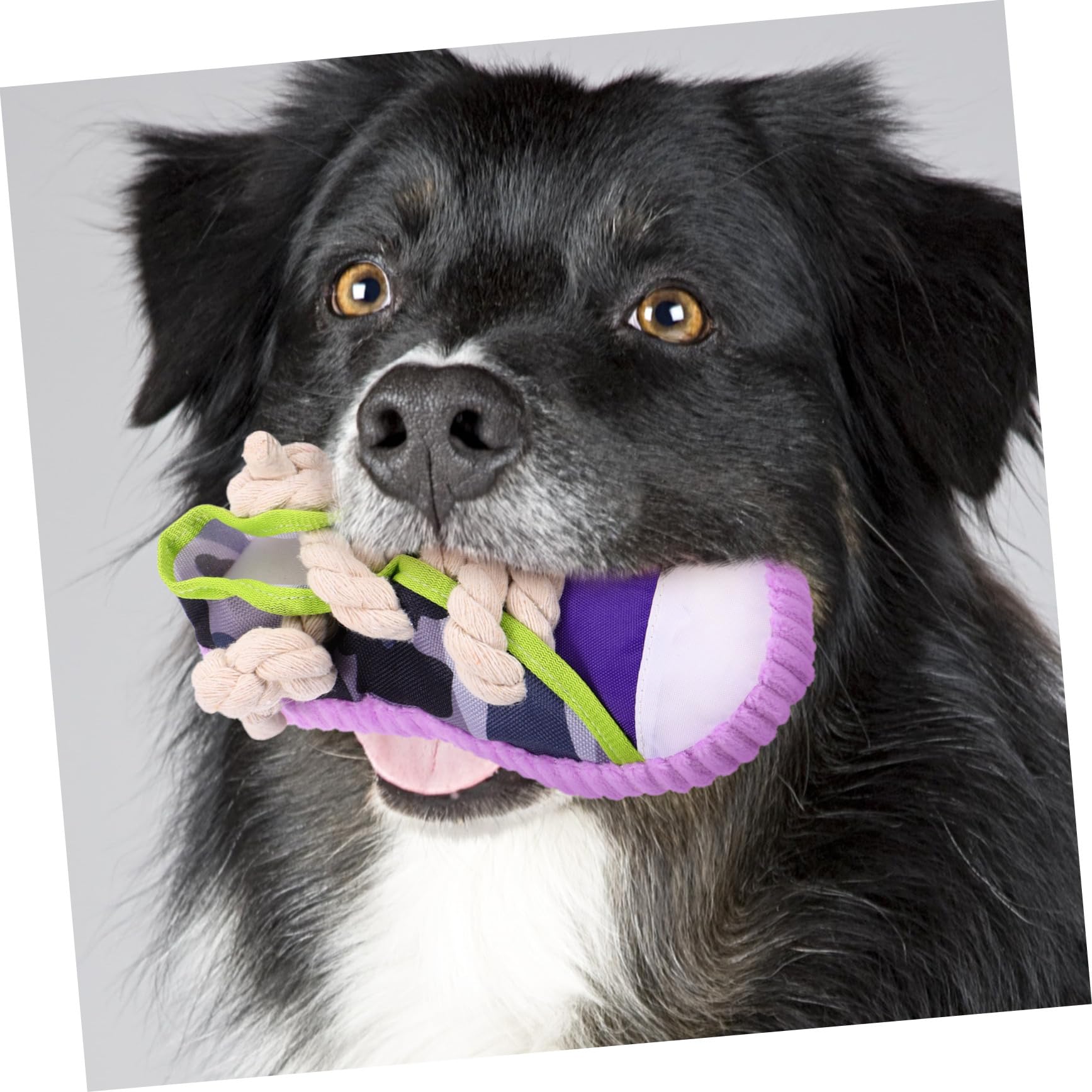 SUPVOX Juguete para Perros Cuerda de Algodón y Sonido, Adecuado para Cachorros Pequeños, Resistente y Seguro Dentición