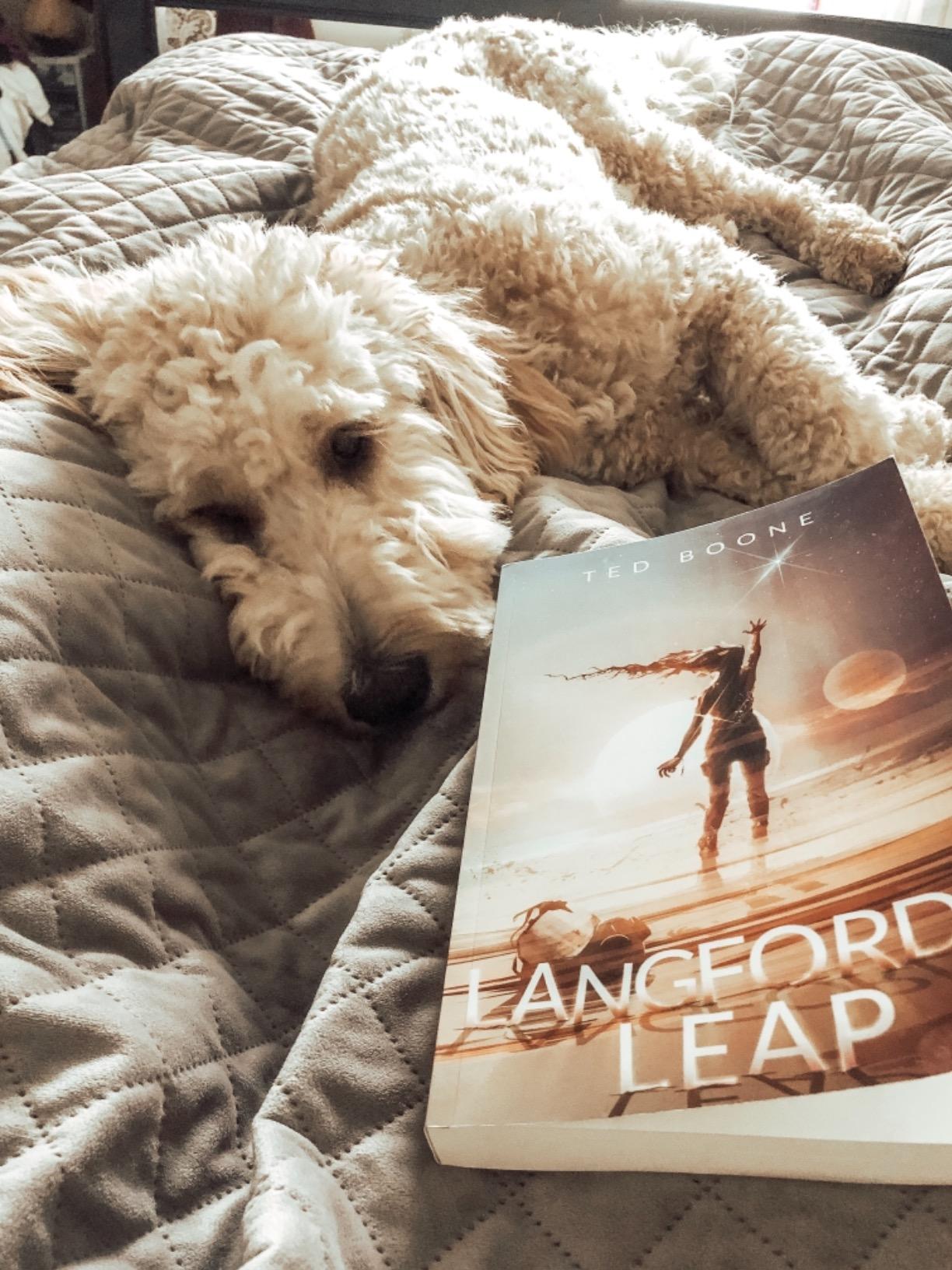 One of the most creative and forward thinking books I’ve read