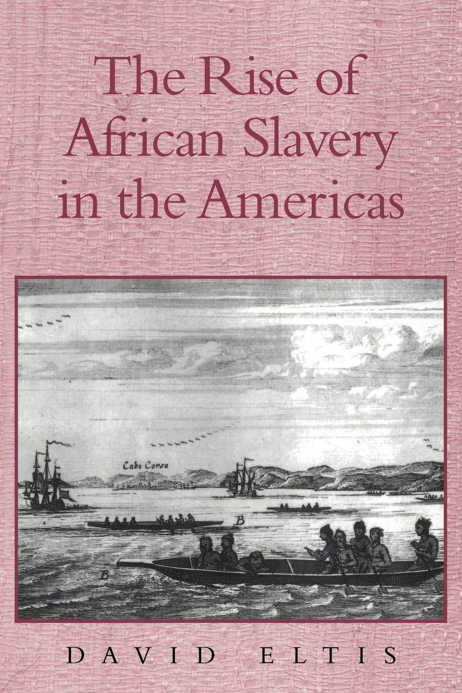 Amazon.com: The Rise of African Slavery in the Americas: 9780521655484 ...