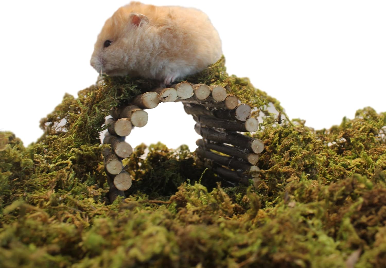 JFWOD 15L Forest Moss for Hamster Syrian Gerbils Bedding