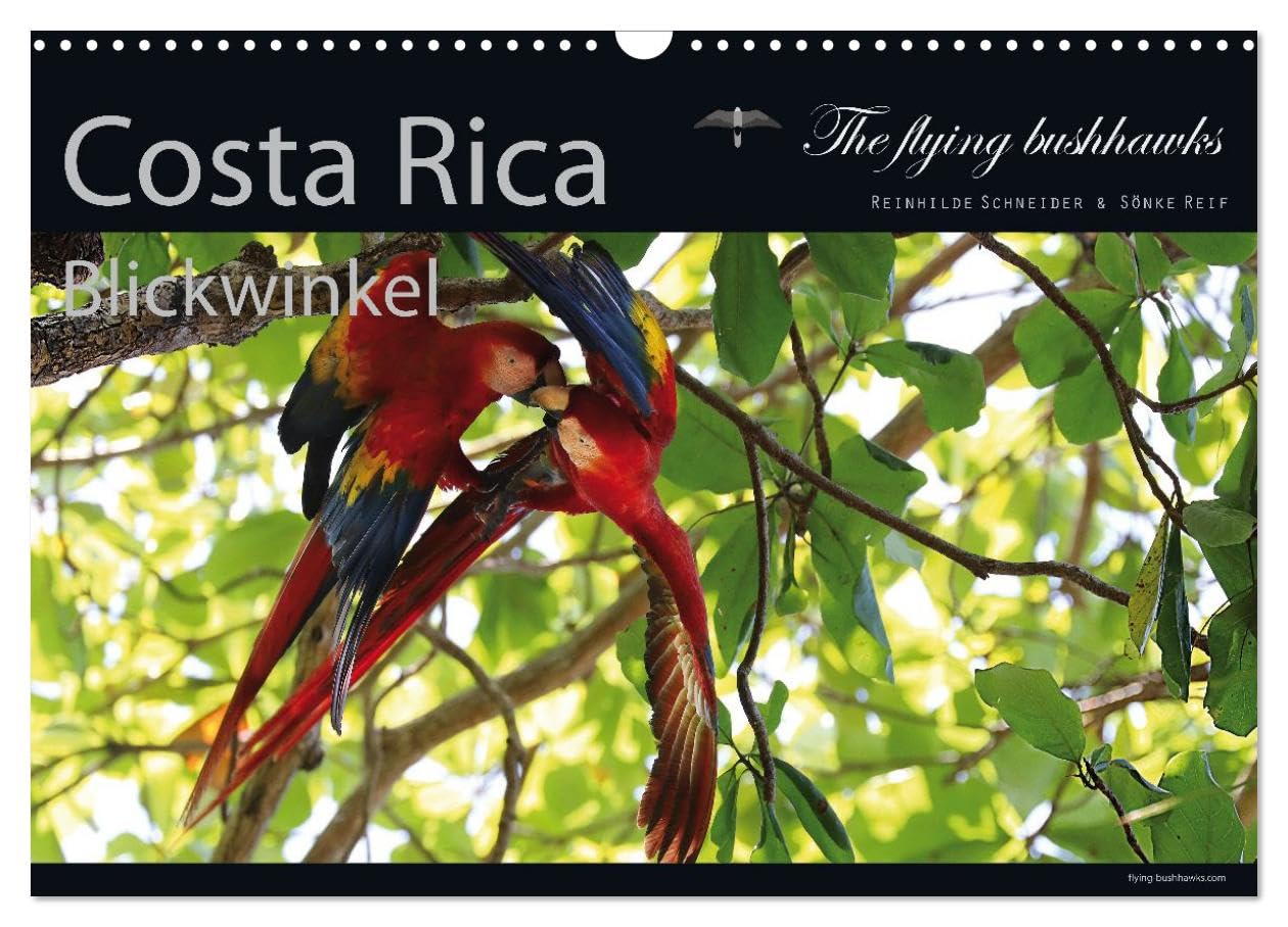 Costa Rica Blickwinkel 2027 (Wandkalender 2027 DIN A3 quer), CALVENDO Monatskalender: Costa Rica - flying bushhawks Blickwinkel Kalender (CALVENDO Orte)