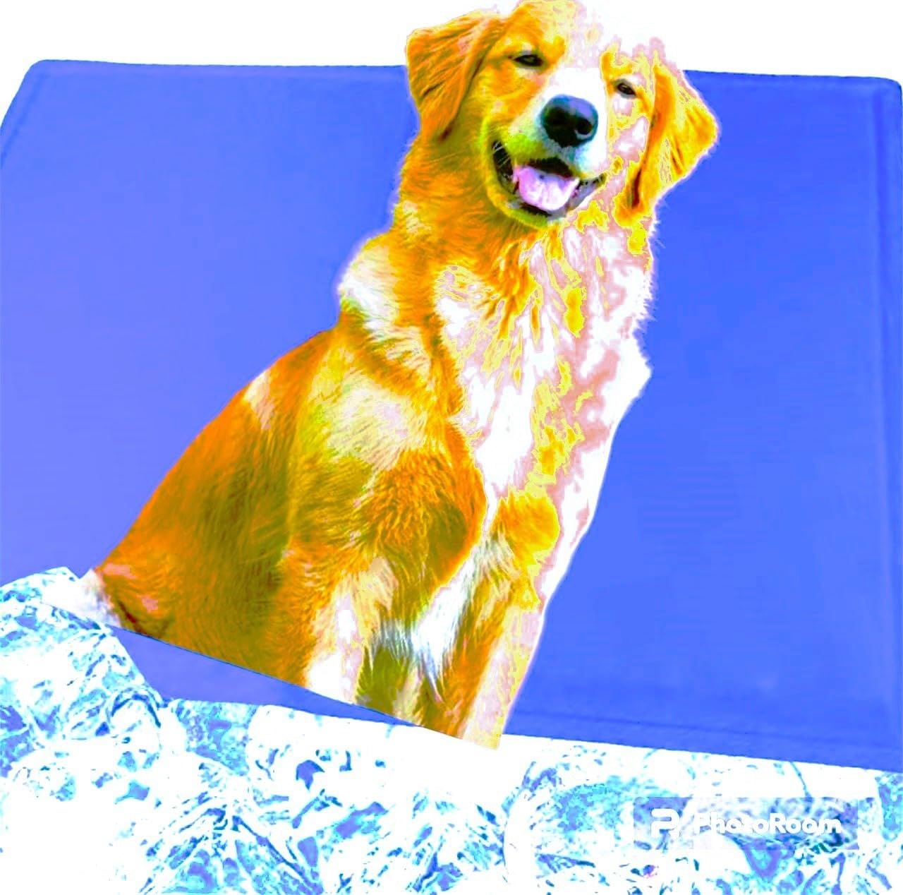 See full amazon price history chart for PetaHouse (XL (96CM X 80CM)| Holy Paws Soft Cooling Bed PAD Activated Comfort Heat Relief Pressure, for Dogs and Cats Pack of 1 PetaHouse (XL (96CM X 80CM)| Holy Paws Soft Cooling Bed PAD Activated Comfort Heat Relief Pressure, for Dogs and Cats Pack of 1 (B0BYSP79KK) Amazon Price History, Amazon Price Tracker