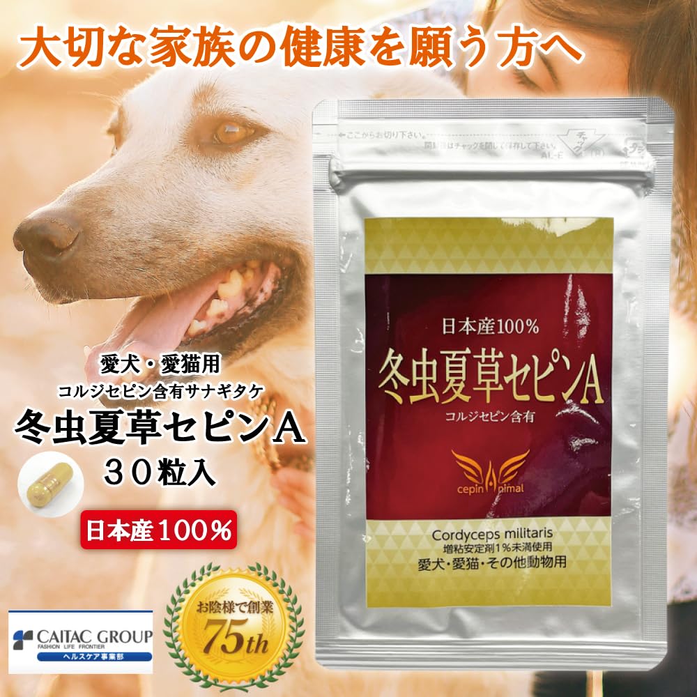 Amazon.co.jp: 冬虫夏草 セピンA 30粒 サプリメント 日本産100% 犬猫