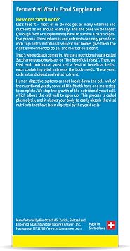 Bio-strath Bio-strath Tablets, 100 Tab