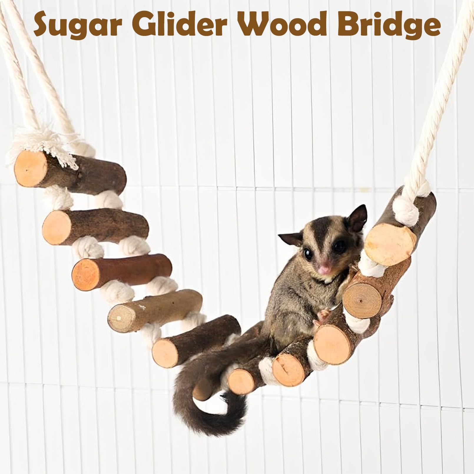 BNOSDM Sugar Glider Kletterspielzeug 2 Stück Natur Holz Seil Leiter Hängende Zuckergleiter Brücke Käfig Zubehör für Mäuse Ratten Hamster Rennmäuse Chinchilla