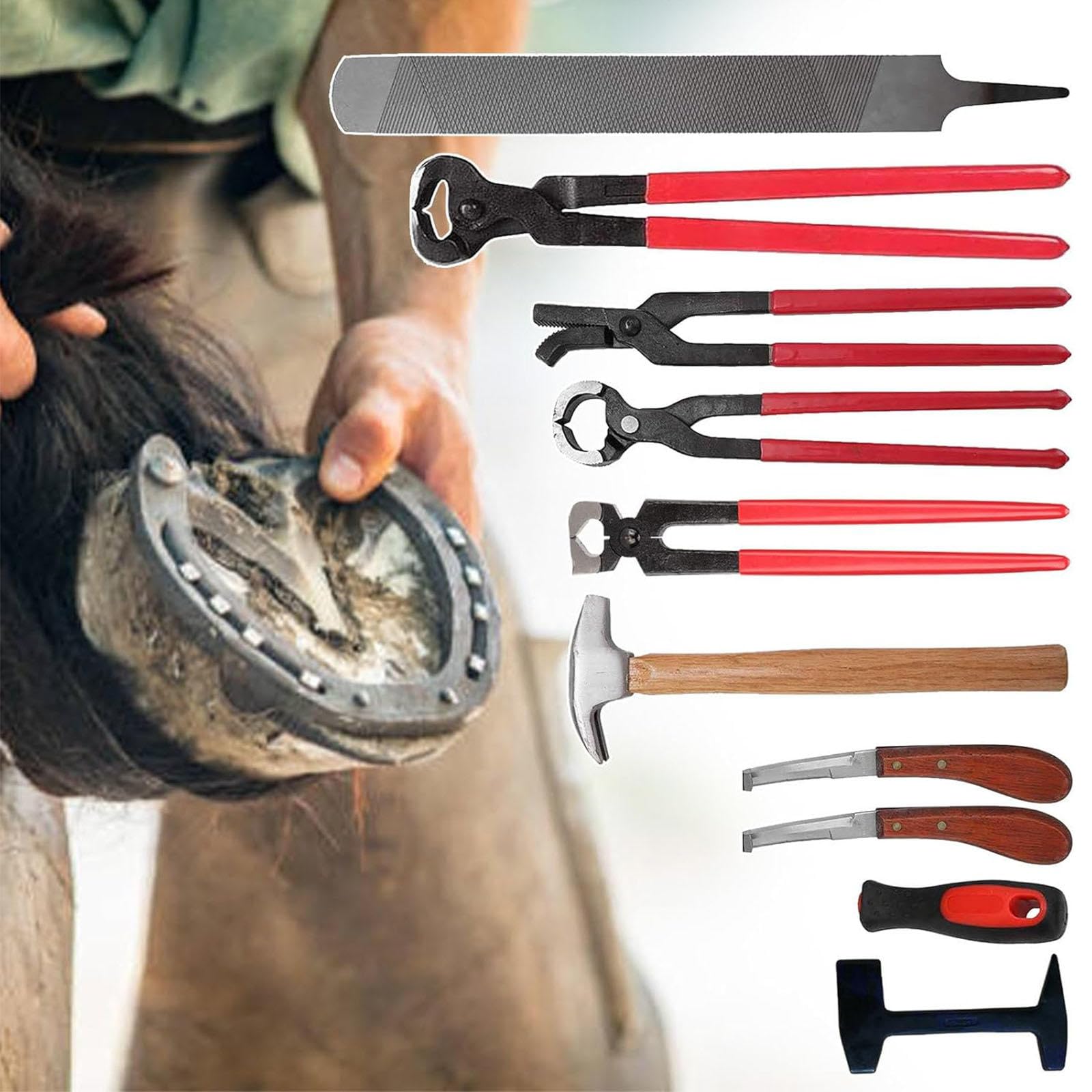 MTTXY Kit de Herramientas para Recortar Pezuñas de Herrador de Caballos, Pinzas para Pezuñas, Recortadoras de Herradura, Kit de Herramientas para El Cuidado de Pezuñas para Ganado, Ovejas, 9 Uds.