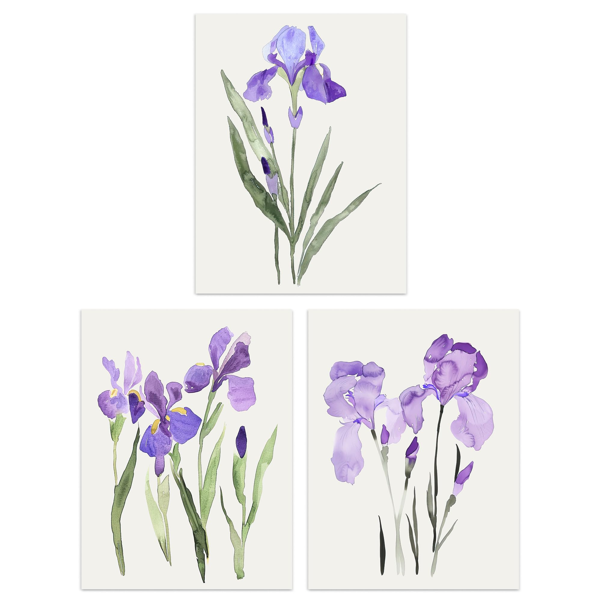 Set of 3 Prints Watercolour Iris Floral Flowers Purple Poster Wall Art A4