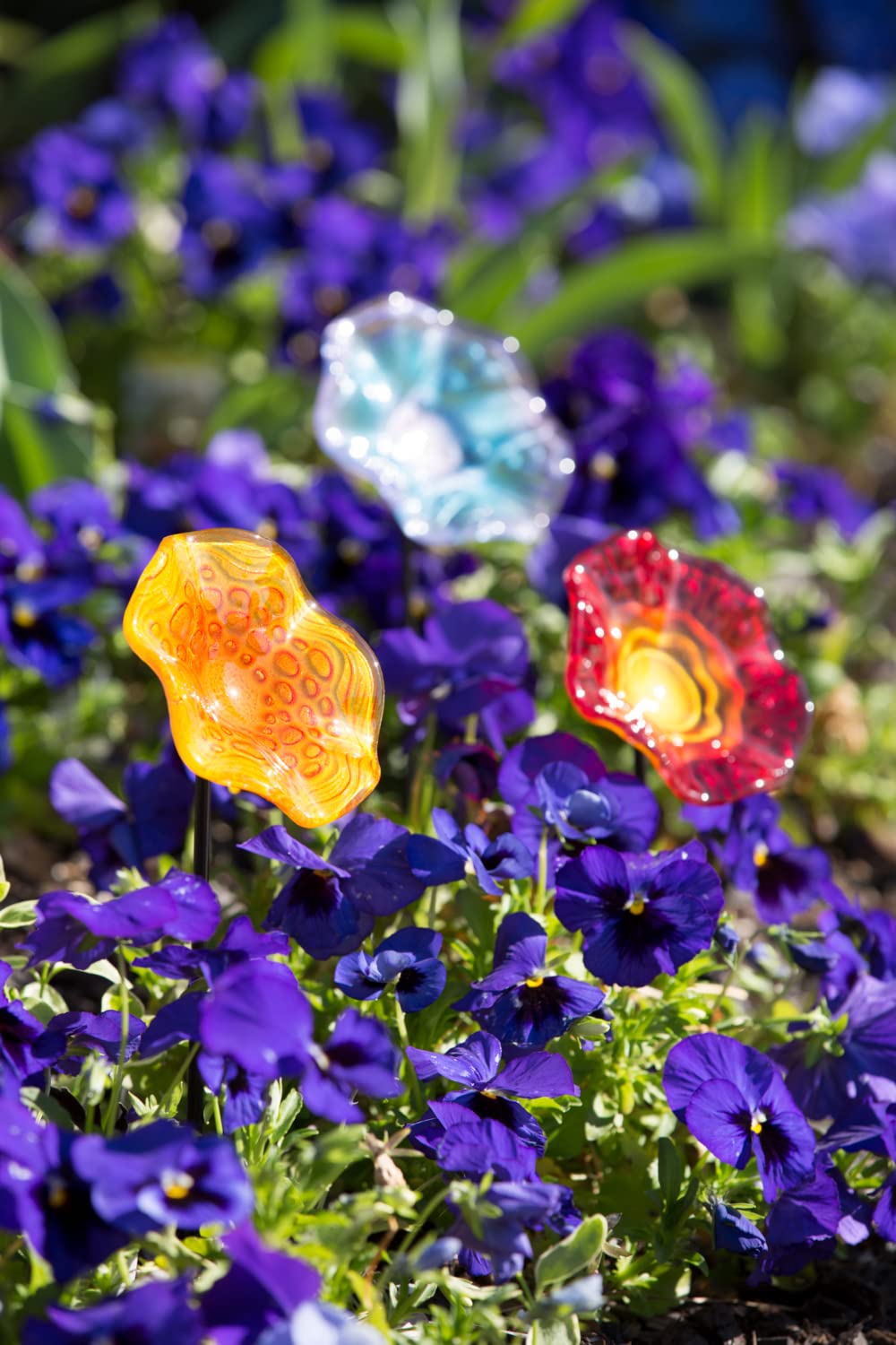 (ᵔᴥᵔ)かわいいお庭♡紫陽花　八重咲き♡挿し穂♡アンティーク好きなカラー♡ ᵔᴥᵔ)かわいいお庭♡紫陽花 八重咲き♡挿し穂♡アンティーク好きな