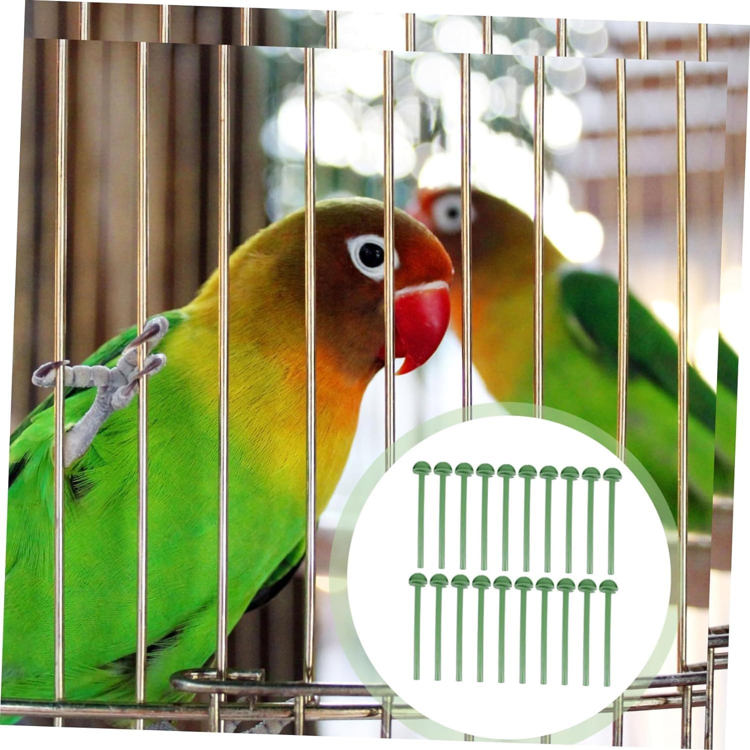 20 Pezzi Palo in Piedi Per Uccelli Trespolo Per Uccelli in Plastica Posatoio Per Il Riposo Del Pappagallo Posatoi Per Gabbie Per Uccelli Uccello Abito Stand Gabbia Per Uccelli (plastica)