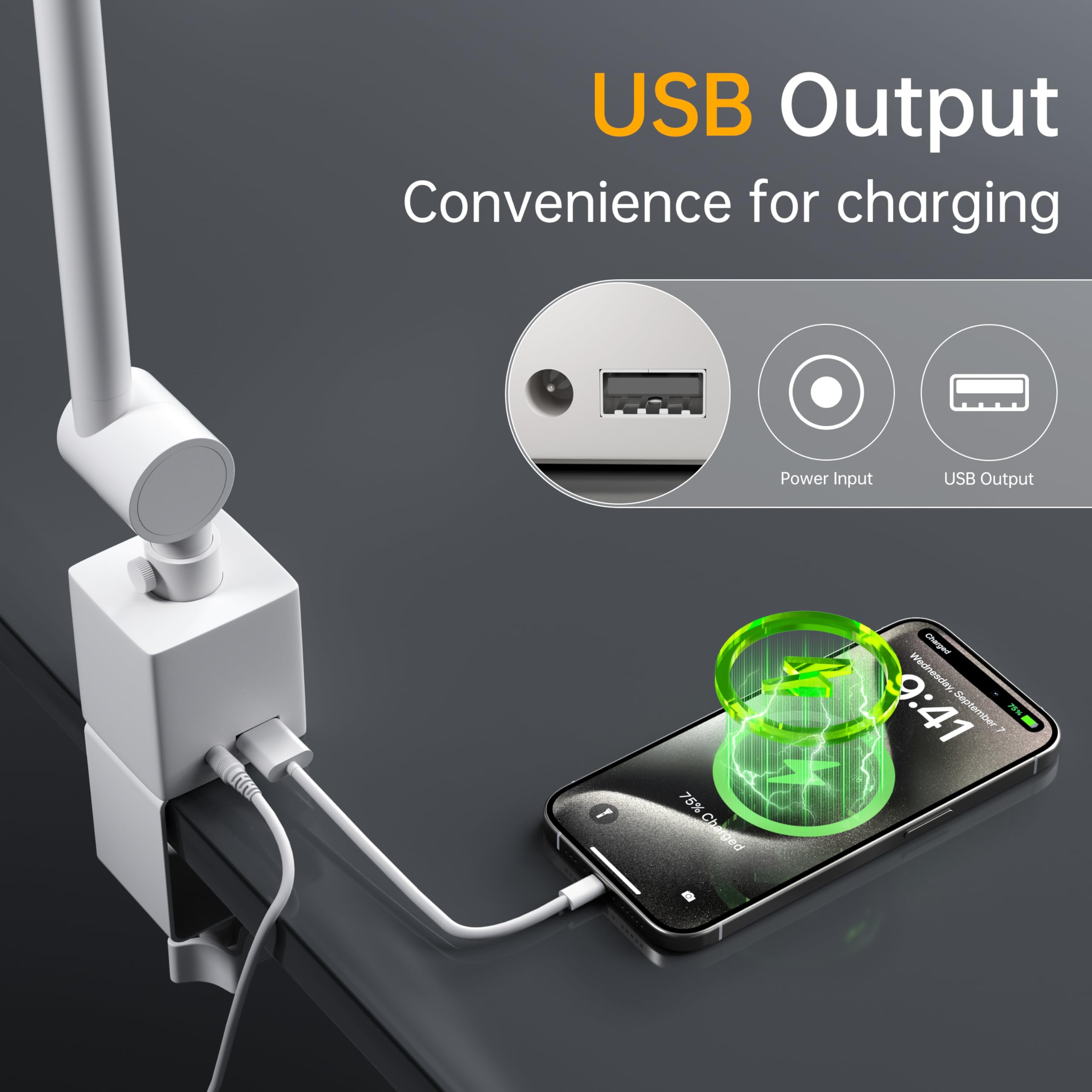 deeloop 2-Arms Swing Lange LED Schreibtischlampe mit Klemme, CRI 95+ Augenschonendes Licht, USB-Ladeausgang, 2-Stunden-Timer, dimmbare Schreibtischlampe mit Speicher, Architekten-Schreibtischlampen