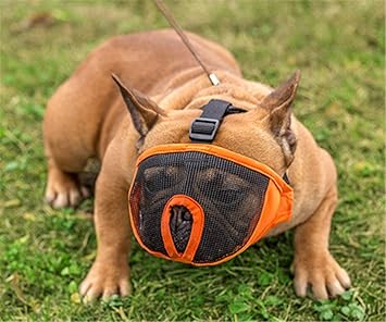 Pets Empire Short Snout Dog Muzzle- Adjustable Breathable Mesh Bulldog Muzzle for Biting Chewing Barking Training Dog Mask (15