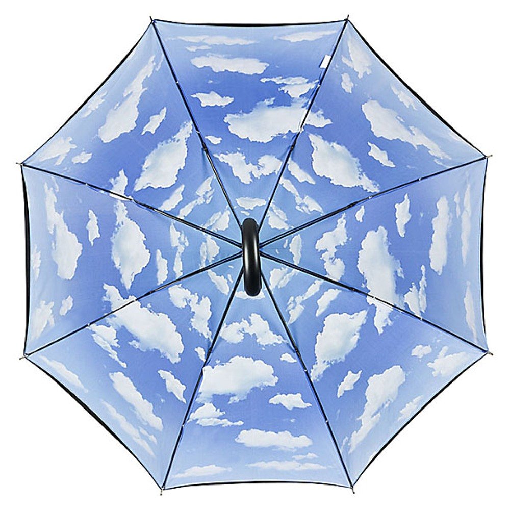 VON LILIENFELD Regenschirm | Bayrischer Himmel | Doppelte Bespannung - Außen Schwarz - Innen Bedruckt | Auf-Automatik | Windfest | Sehr Stabil | Motiv | Wolken | Damen | Herren