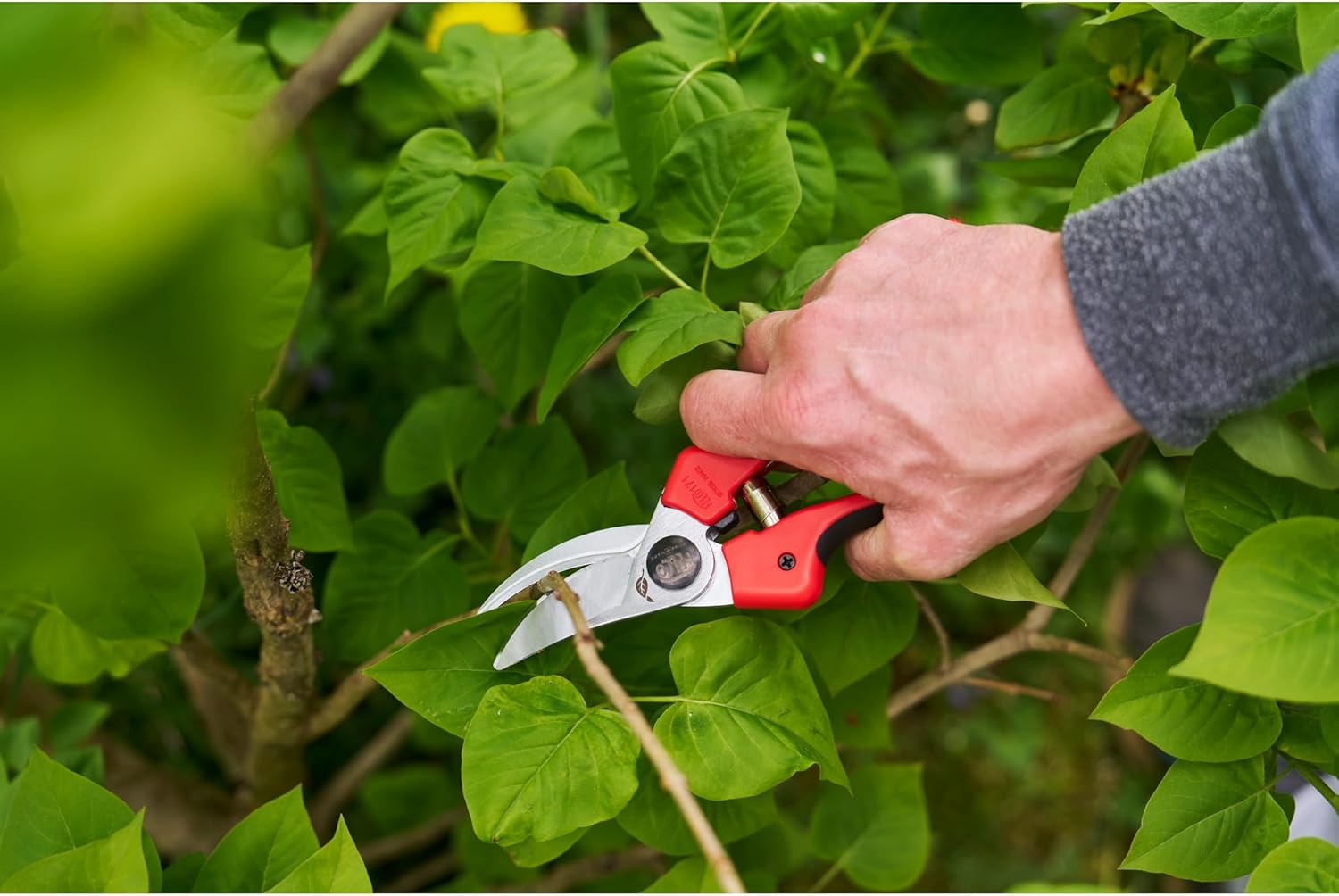 FELCO 171L Large Pruning Shears – Swiss-Made Bypass Garden Clippers with Hardened Anti-Rust Chrome Coated High-Carbon Steel Blades & Steel-Core TPR Handles | Great for Garden & Landscape