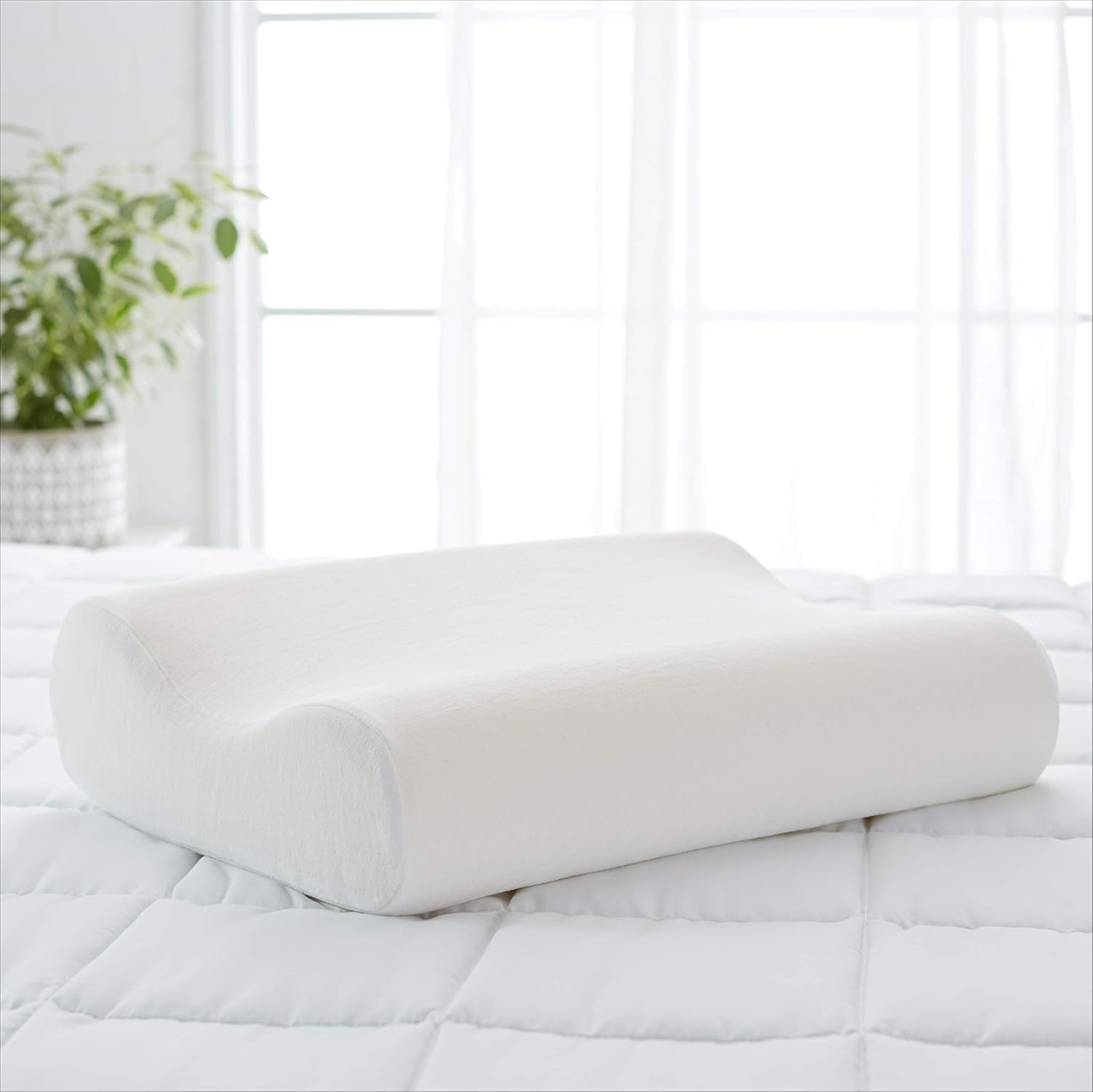 Amazon Basics Memory Foam Contour Pillow - 20 x 15 x 5 Inches, Mini