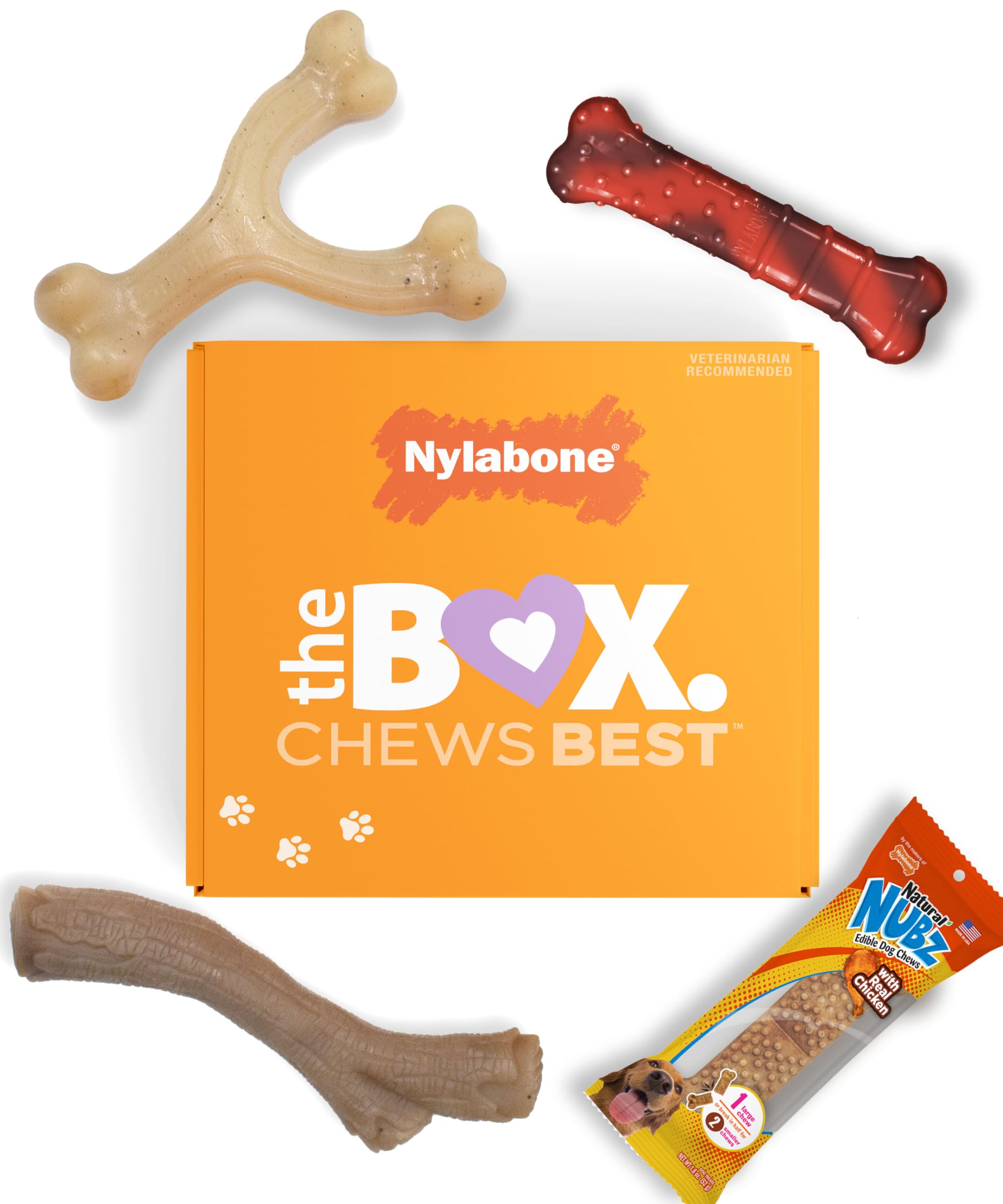 Nylabone Dog Gift Box, Includes 3 Strong Chew Toys and 1 Natural Treat, Gifts for Dogs, Small - Up to 25 lbs, 4 Pack