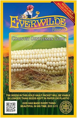 Miniatura 4 de Everwilde Farms - Semillas de maíz polinizadas abiertas Country Gentlman de 14 libras - Gold Vault