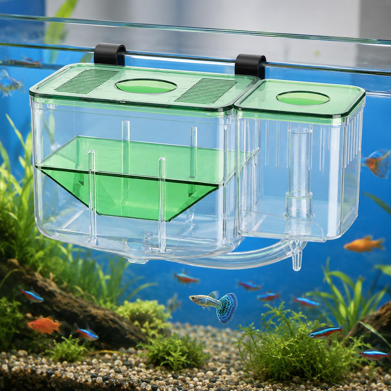 Fish Breeding Box, Transparent Aquarium Little Fish Breeding Hatching Box, Fish Tanks Double Layer Isolation Box Hatchery Incubator for Injured Small Fish Shrimp : Pet Supplies