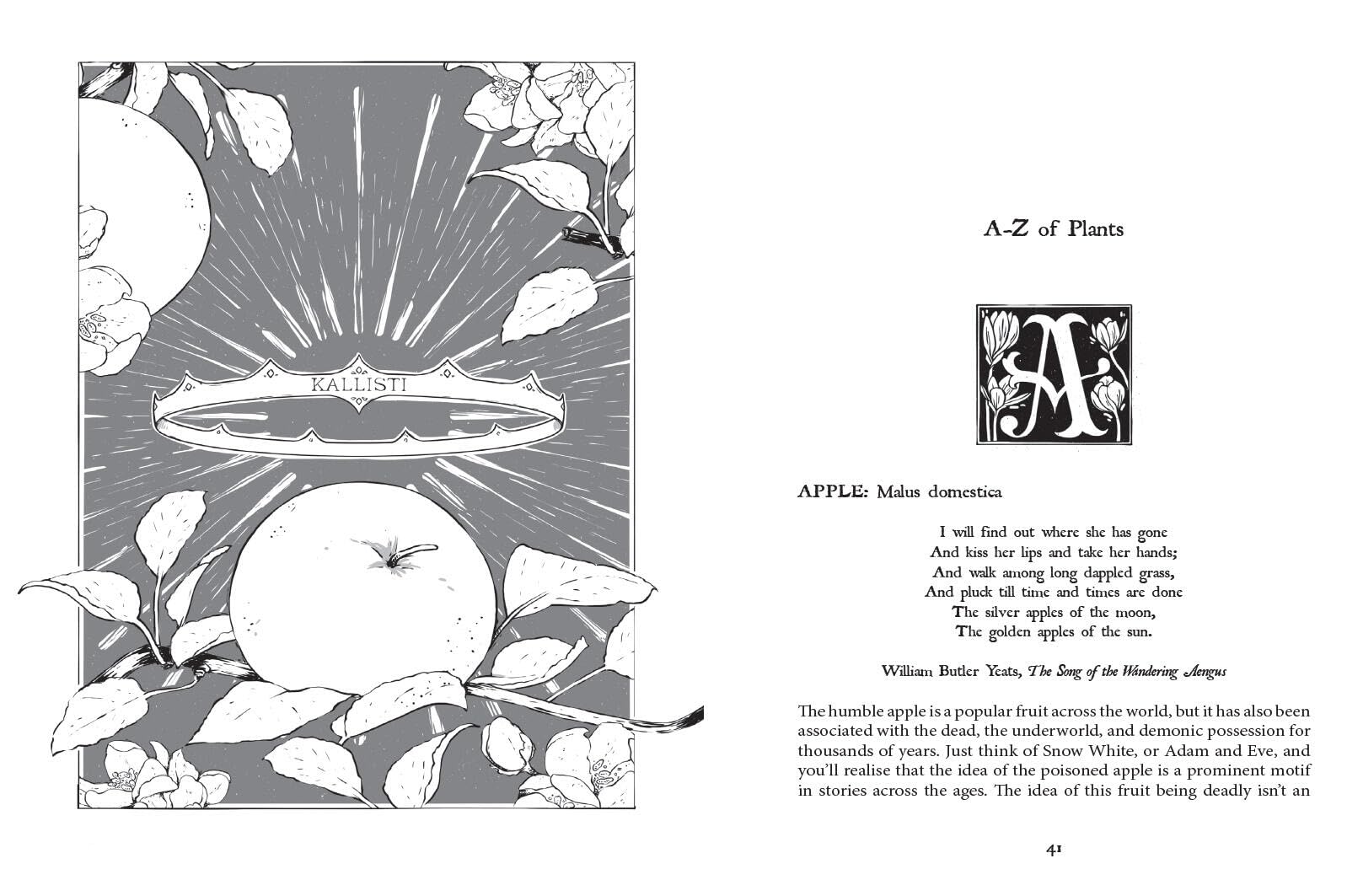 Botanical Curses and Poisons: The Shadow-Lives of Plants