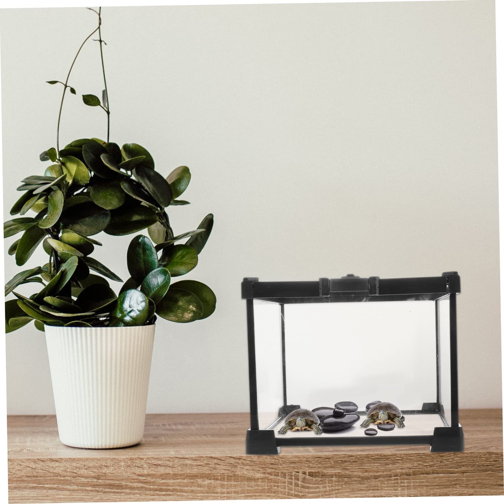 Terrario de Reptiles Transparente Ligero Ventilación Estable | Caja de Plástico, Hierro y Cristal, Uso Exterior, Apto para Serpientes y Arañas