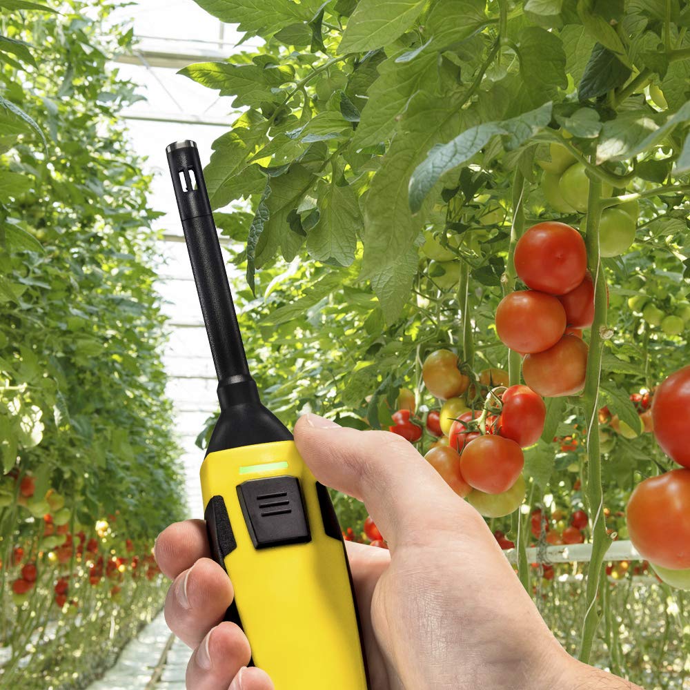TROTEC Thermo-hygromètre connecté BC21WP pour Smartphone, mesure l'humidité relative, température, point de rosée et température humide