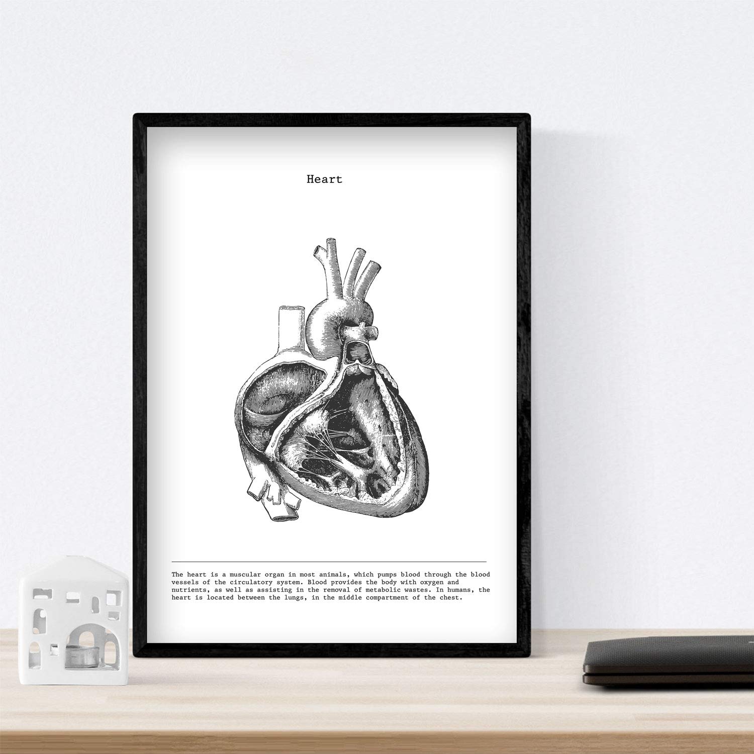 Nacnic Anatomie Poster 3er-Set – Herz, Gehirn, Lunge Im Vintage-Stil, Größe A4, Ohne Rahmen
