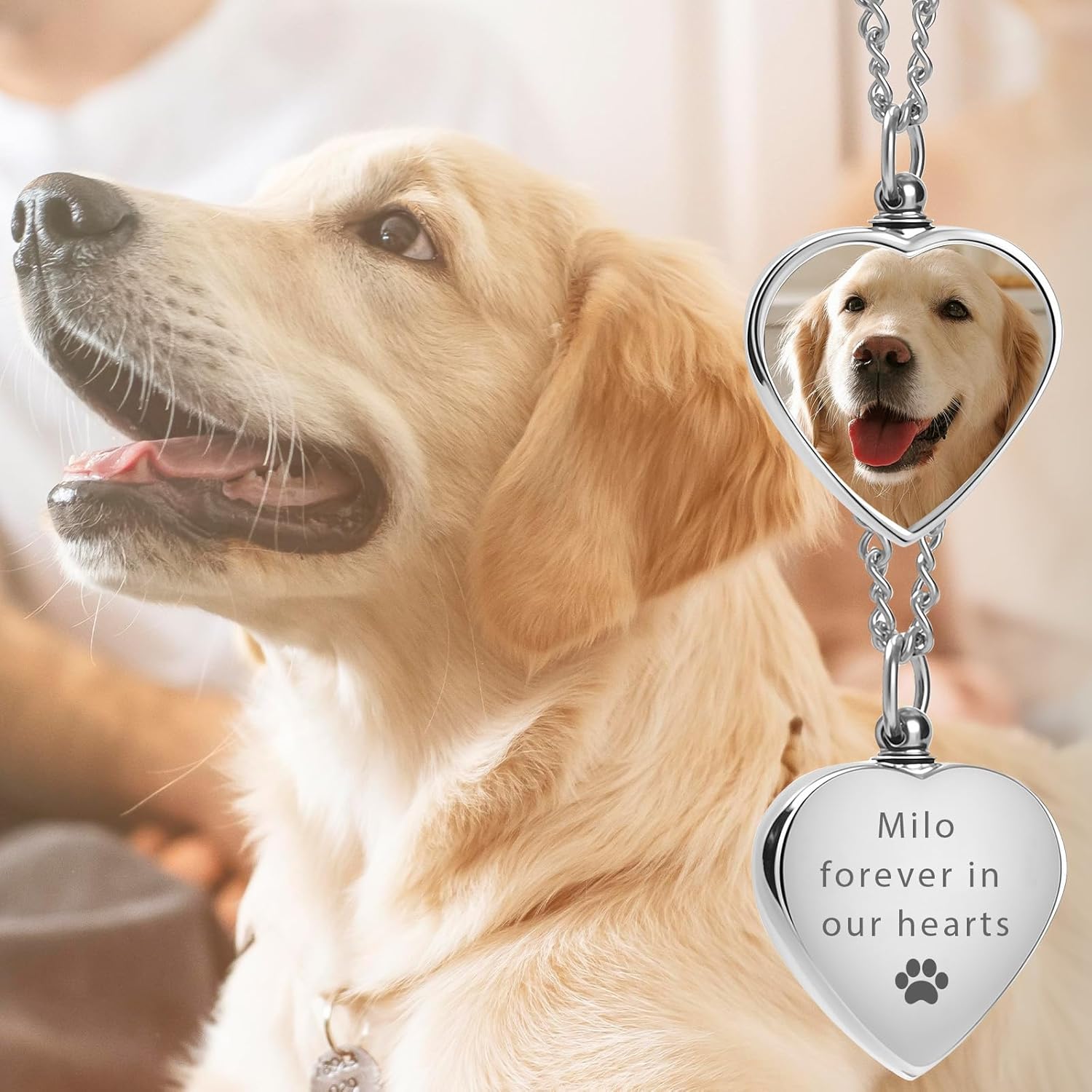 QYH Custom Dog Urn Necklaces for Ashes with Picture - Personalized Text Pet Ashes Necklace, Customized Memorial Gifts for Loss of Dog (Heart) - Image 9