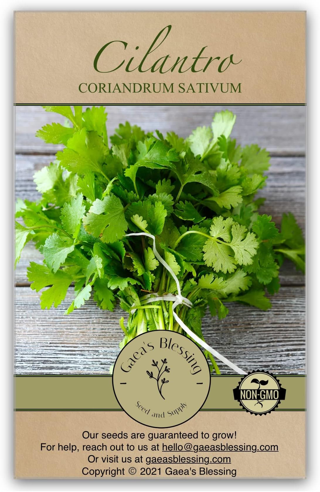 Gaea's Blessing Seeds - Cilantro Seeds - Leisure - Non-GMO Heirloom Seeds with Easy to Follow Instructions - 90% Germination Rate