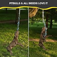 Vista 3 de YES4QUALITY Poste de coqueteo para perros, 2 postes de resorte duraderos con cuerda fuerte para perros, poste de señuelo resistente para perros