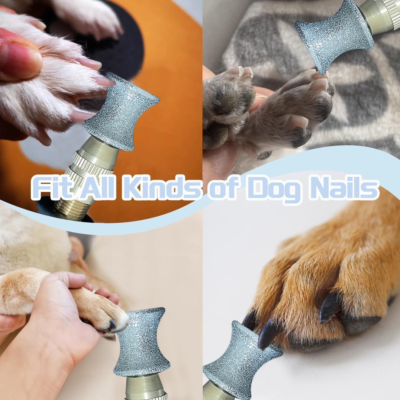 Punte per smerigliatrice rotante diamantata per unghie di cani, 2 pezzi di testina per smerigliatrice diamantata per unghie di cani per Dremel, mola di ricambio da 1/8" per la toelettatura delle unghi