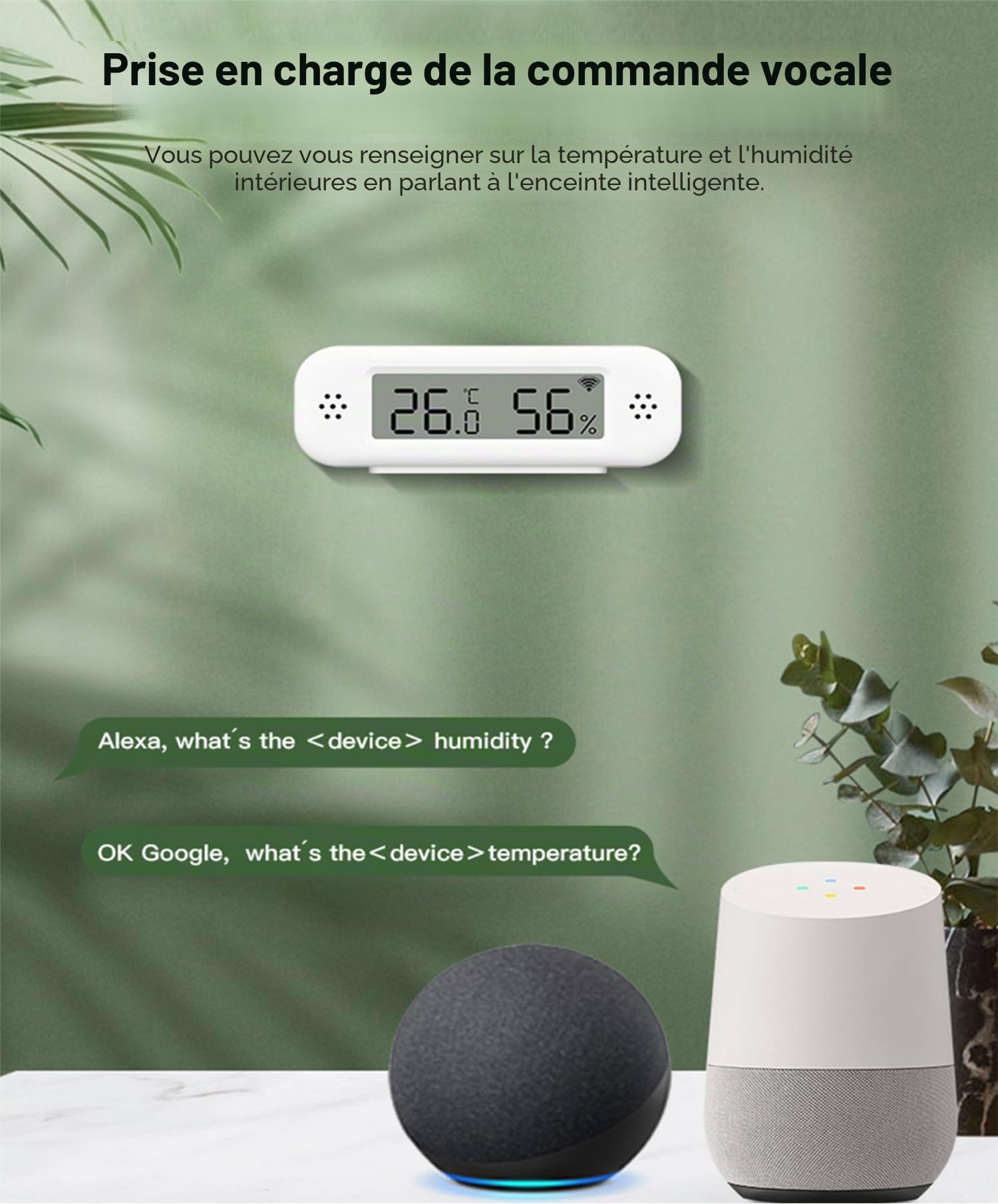 Thermomètre et Hygromètre Wi-Fi : Capteur de Température et d'Humidité Intelligent, Moniteur en Temps Réel, Notification par App, Capteur de Température Numérique pour Intérieur, Compatible avec Alexa