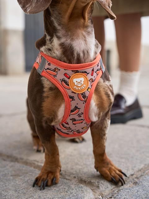 Foto 4 de 8 de DUKIER - Arnés de Cuerpo para Perro, Chaleco Body Antirones, Ajustable y Resistente para Mascotas, de Malla…