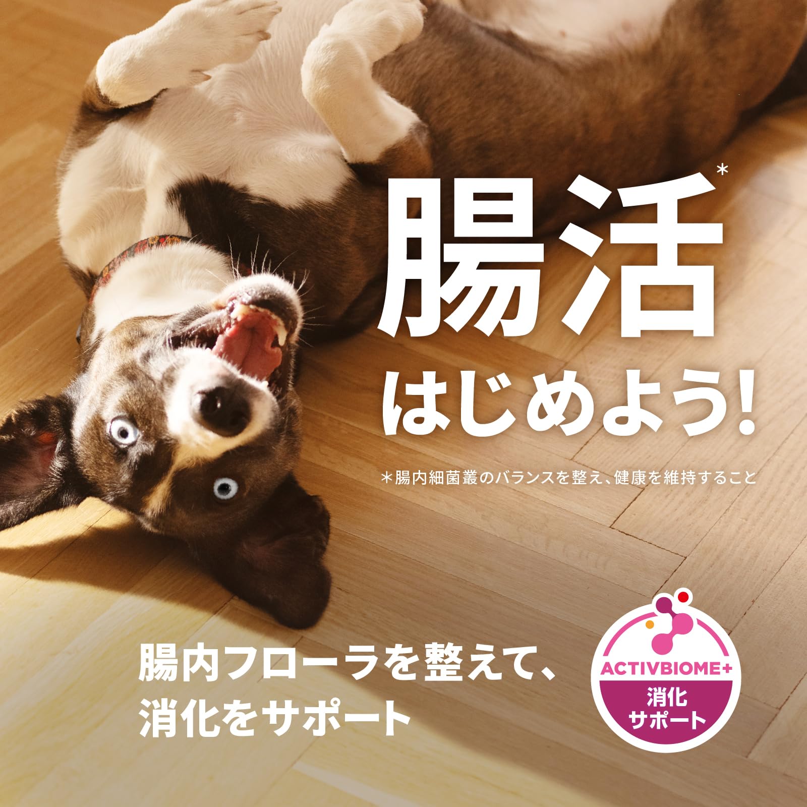 Amazon.co.jp: サイエンスダイエット ドッグフード パピー 小粒 12ヶ月