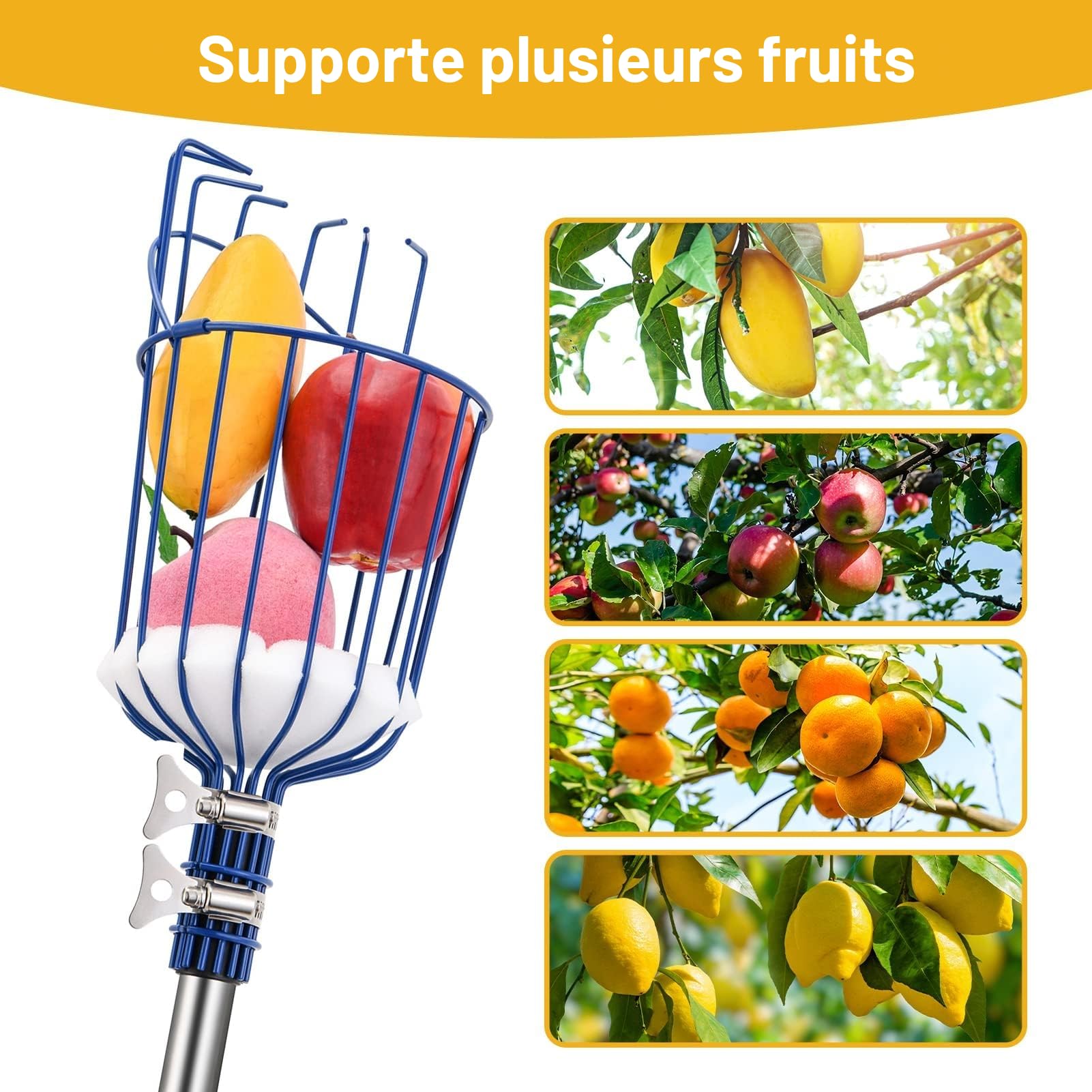 MaidMAX Cueille-Fruits avec Corbeille et Manche Télescopique 4 Mètres, Pince avec Panier en Acier Inoxydable pour Fruits Pomme Orange, Légèrement Stable et Peu Encombrante