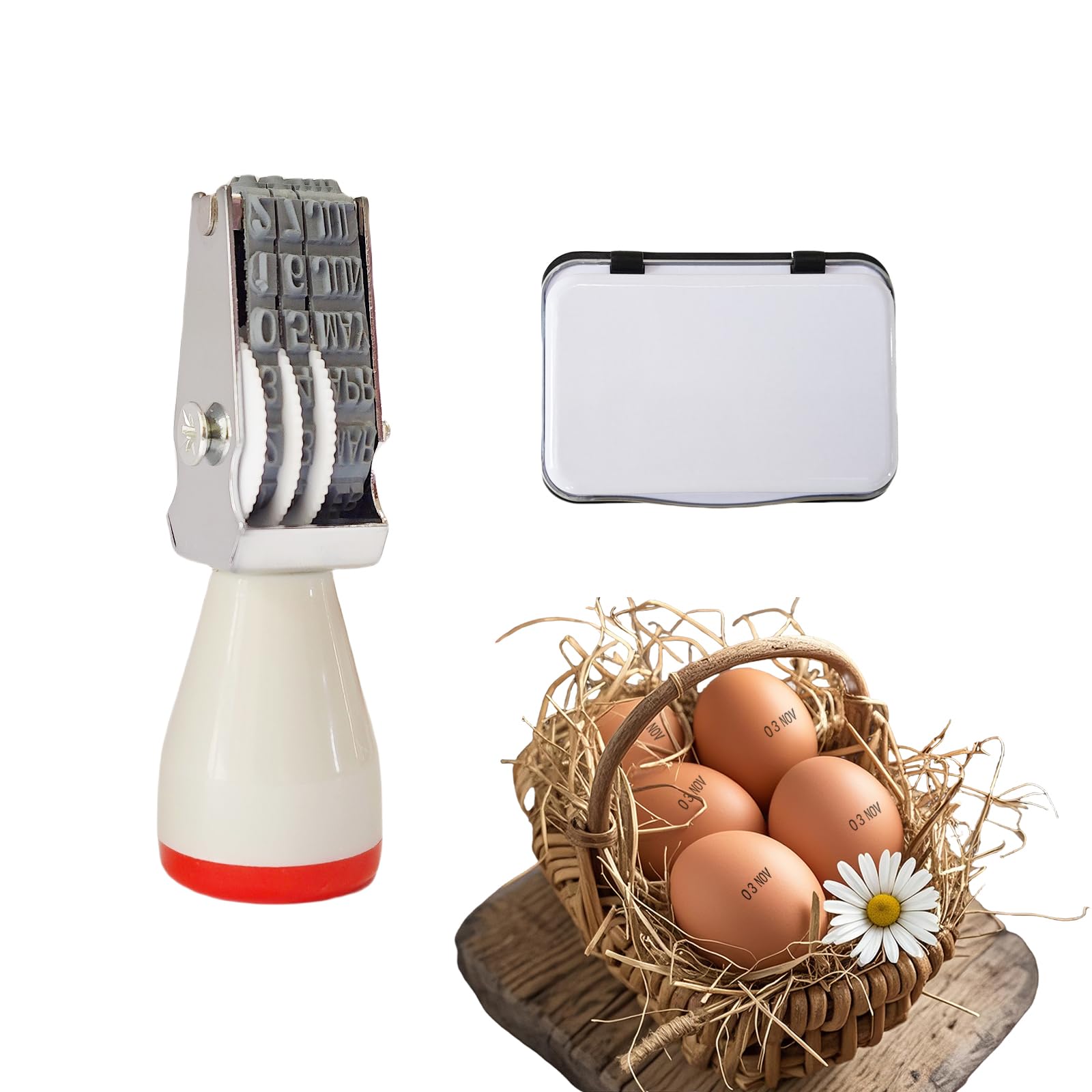 Aunewrick Egg Date Stamp Kit with Ink Pad, Month and Day Stamper for Farm Fresh Eggs Chicken Duck Turkey Goose Poultry Eggs