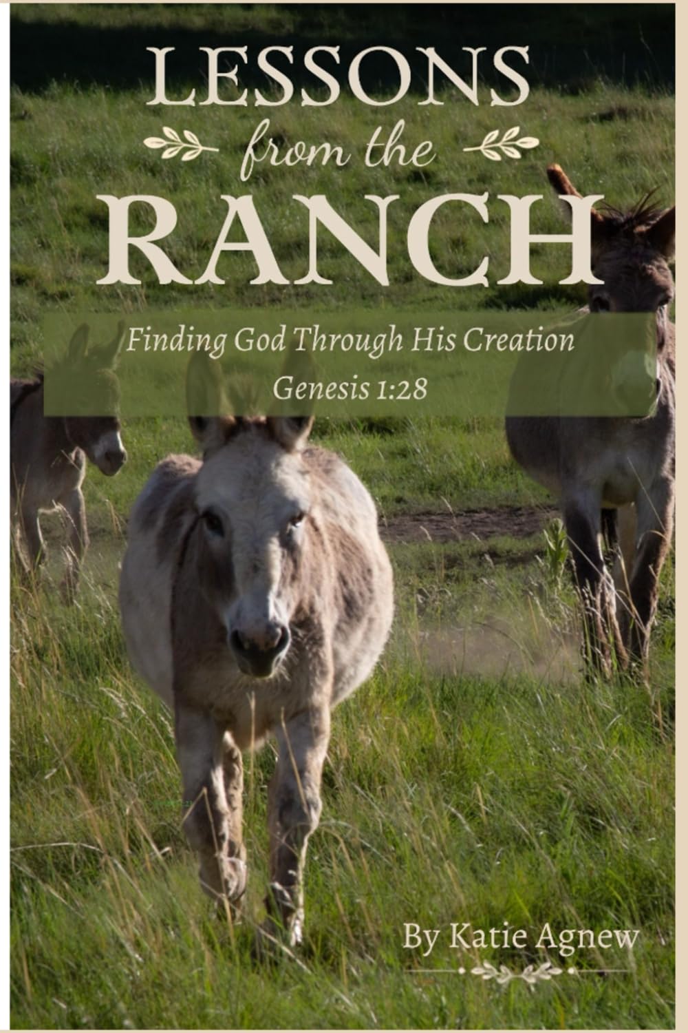 Lessons from the Ranch: Finding God Through His Creation
